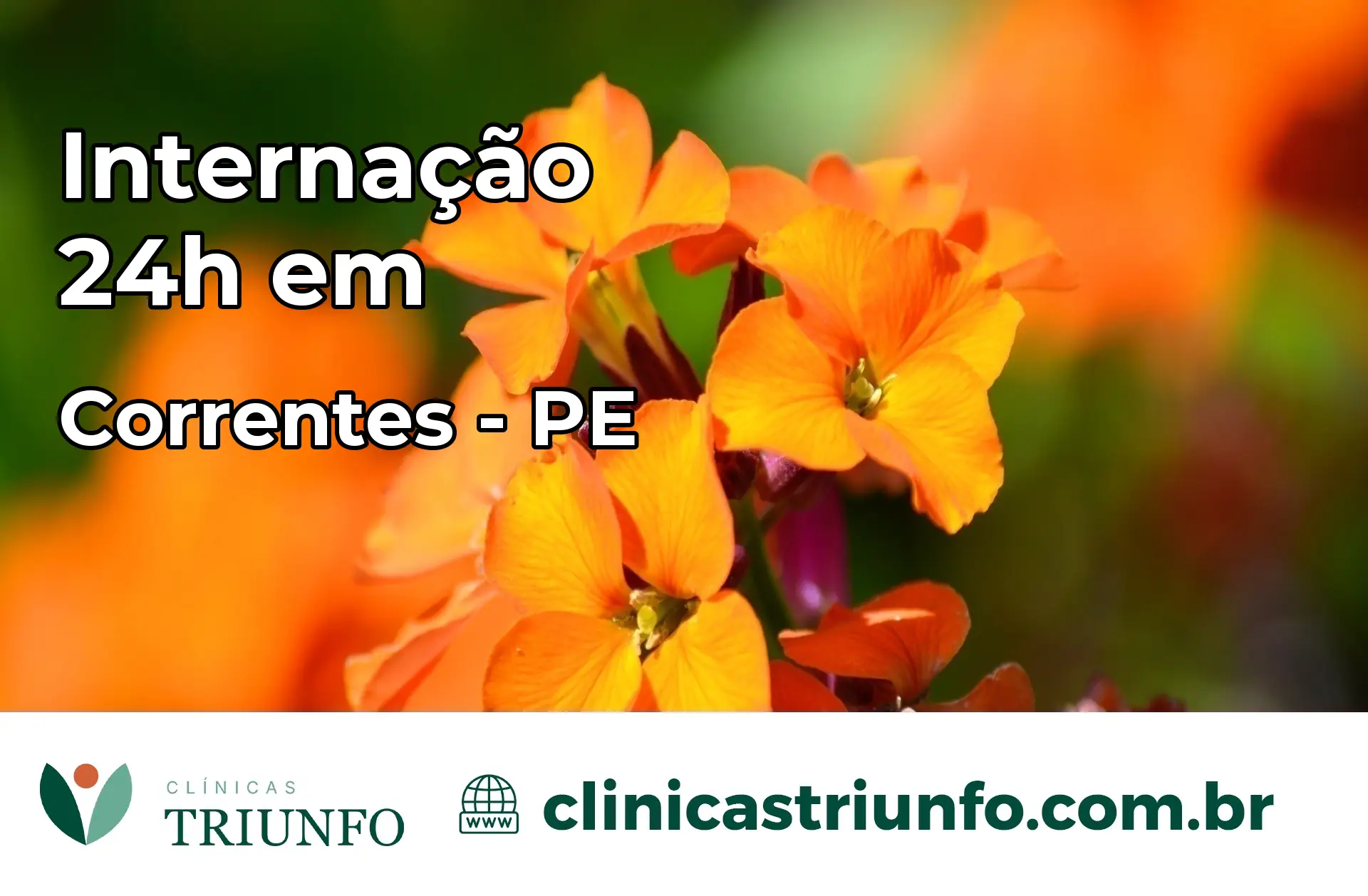Internação 24 horas em Correntes – PE