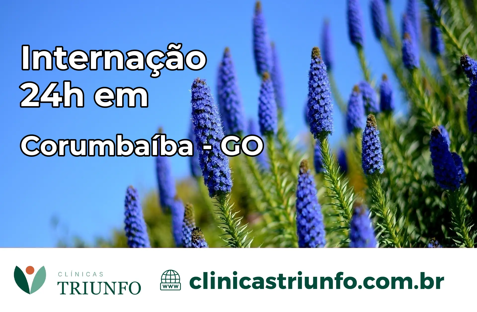 Internação 24 horas em Corumbaíba – GO
