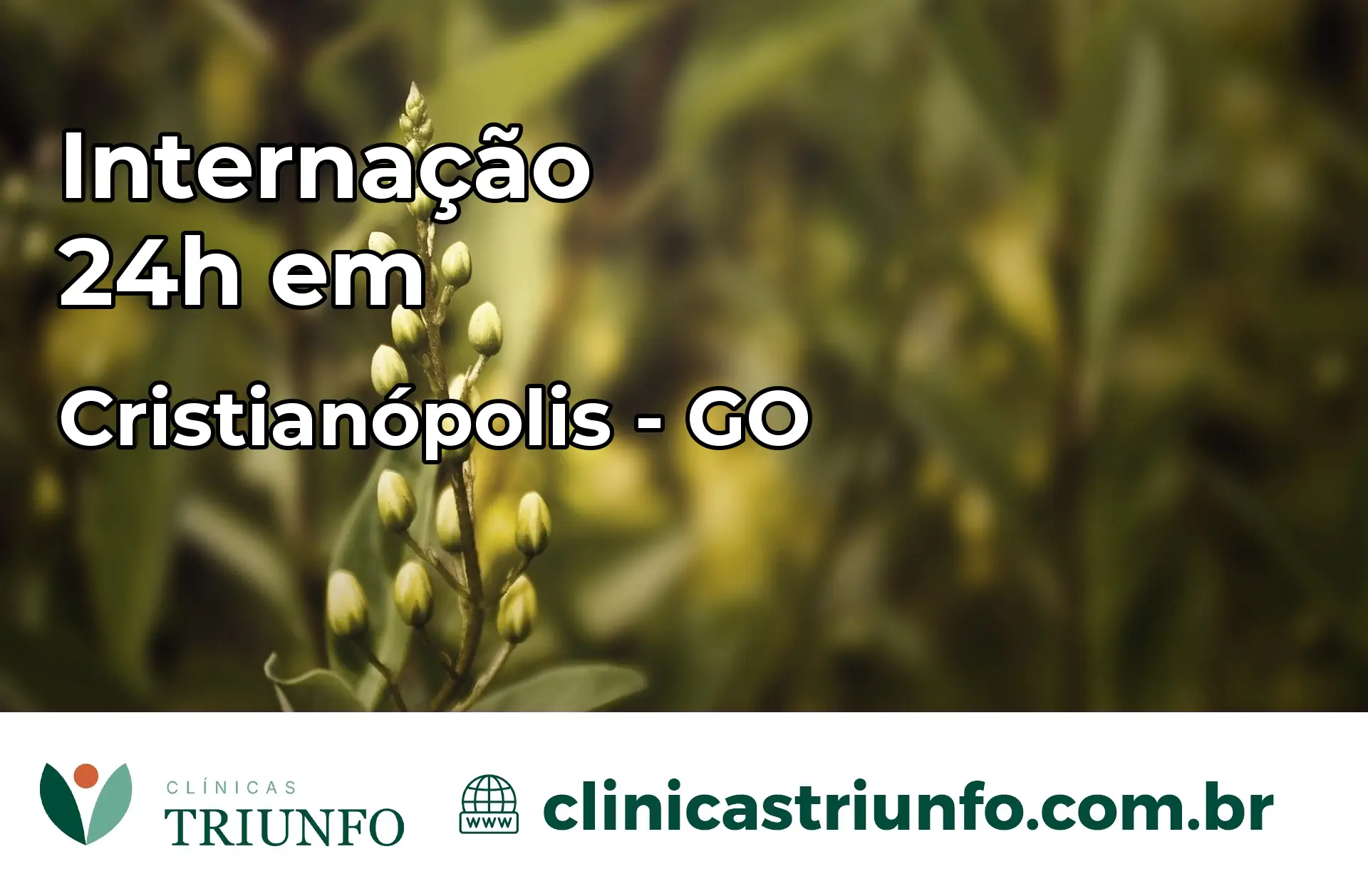 Internação 24 horas em Cristianópolis – GO