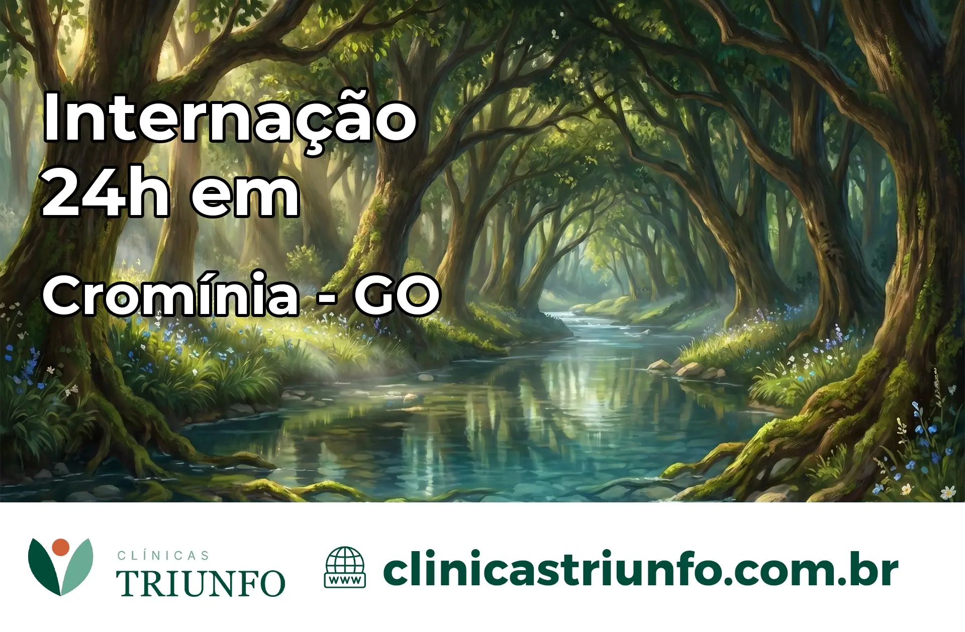 Internação 24 horas em Cromínia – GO