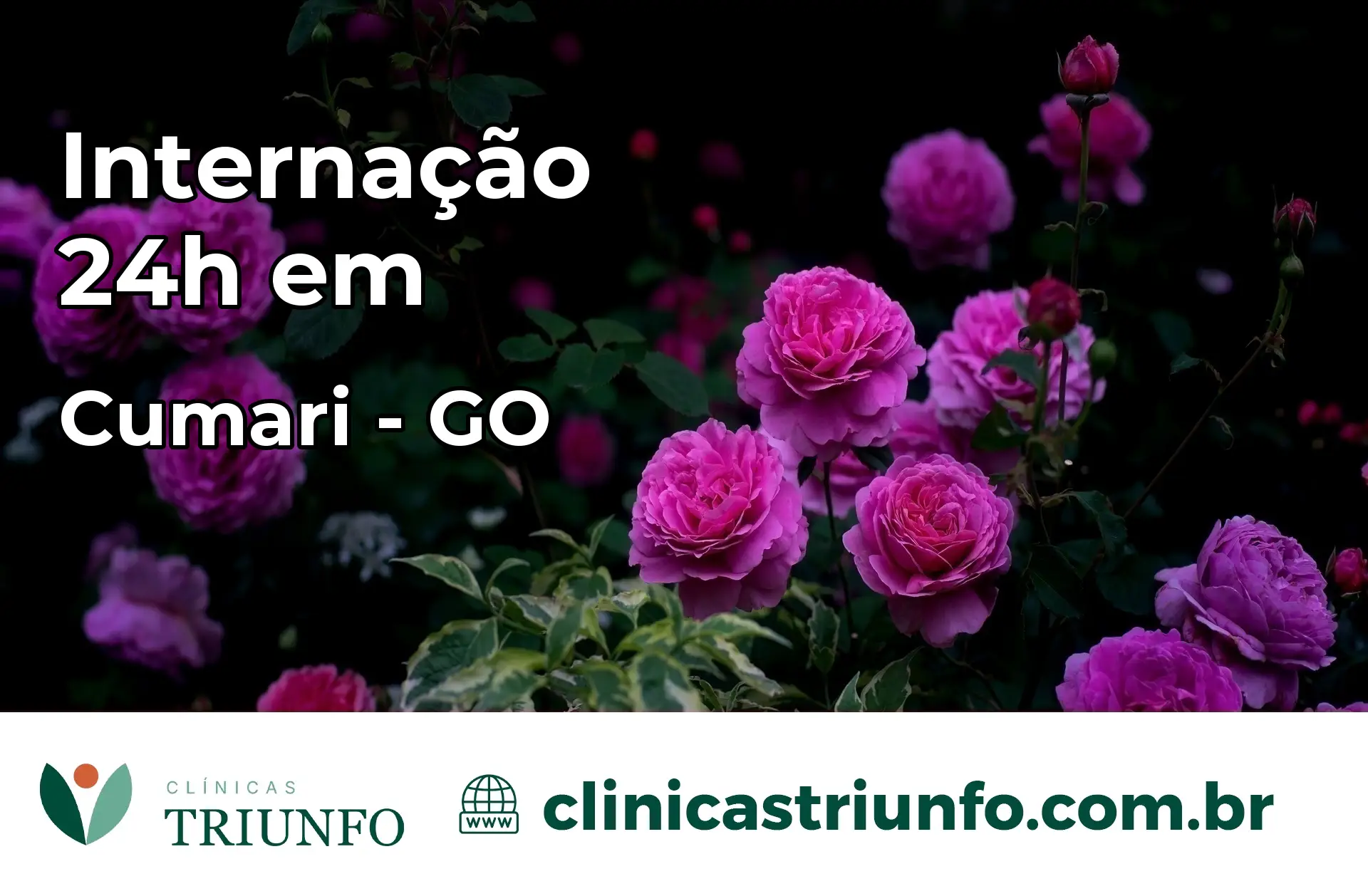 Internação 24 horas em Cumari – GO