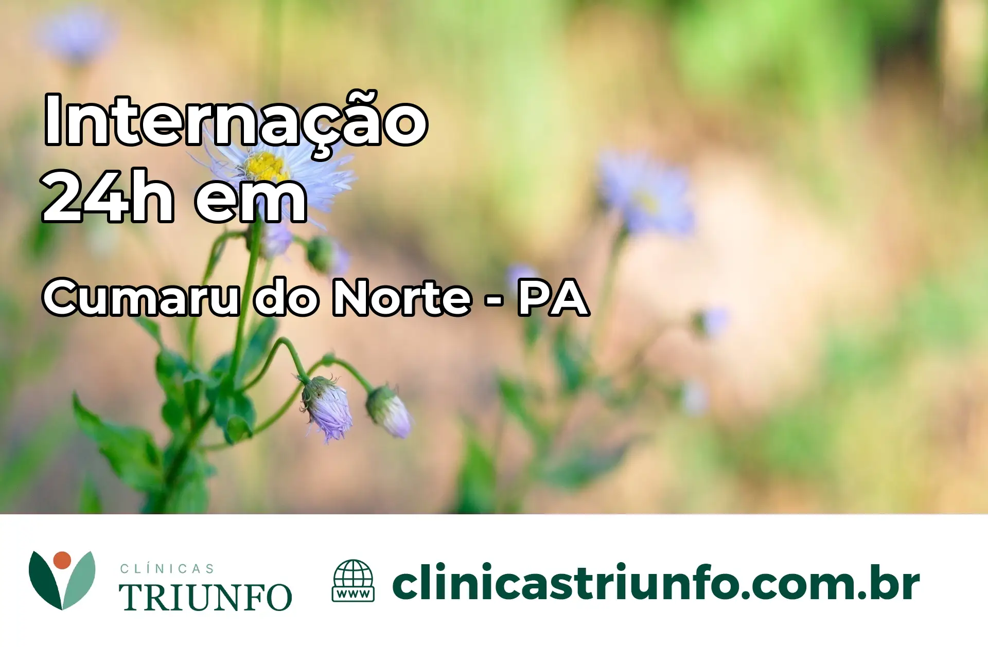 Internação 24 horas em Cumaru do Norte – PA