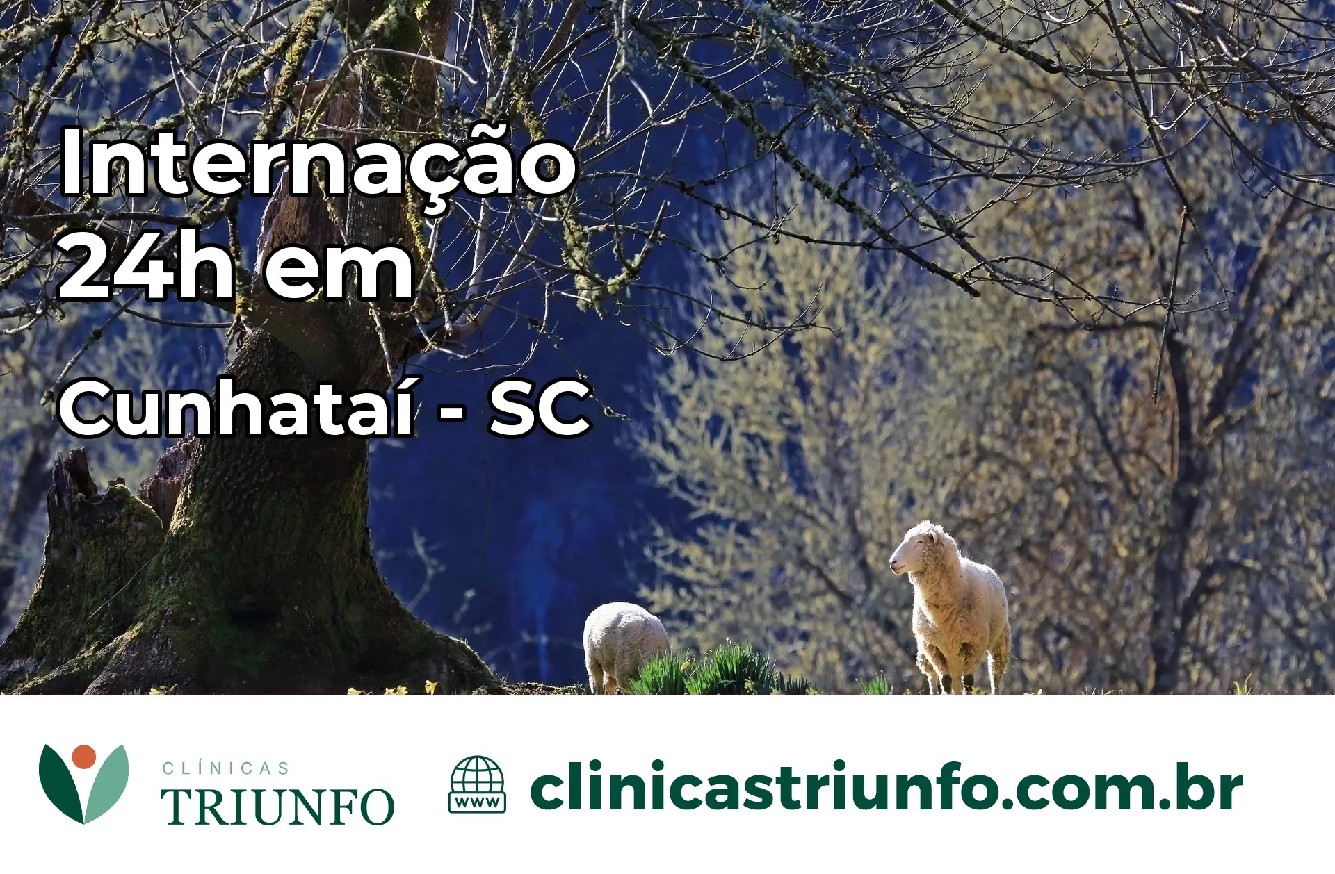 Internação 24 horas em Cunhataí – SC