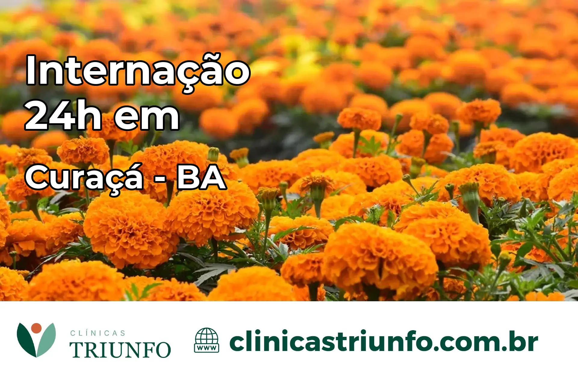 Internação 24 horas em Curaçá – BA