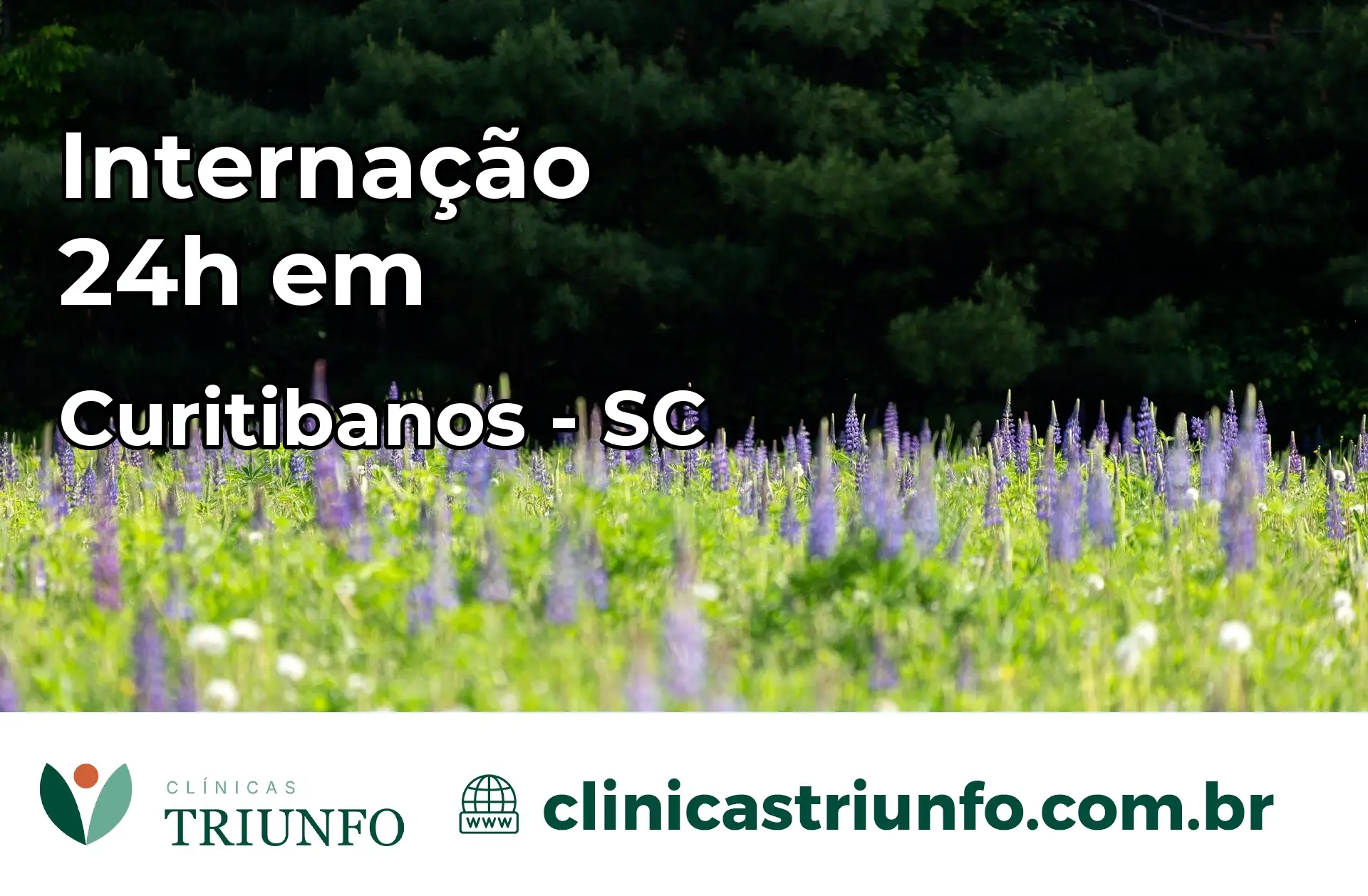 Internação 24 horas em Curitibanos – SC
