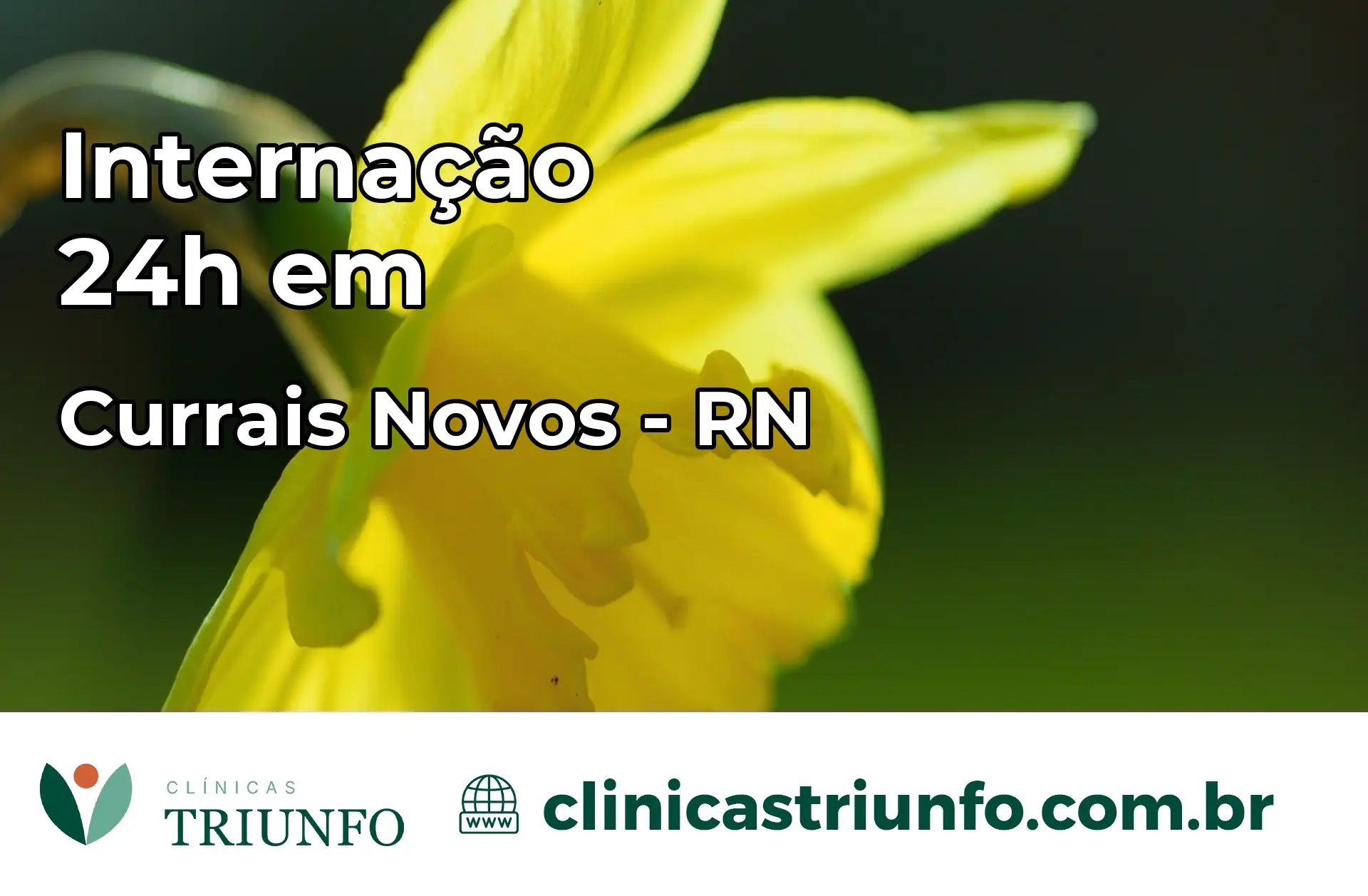 Internação 24 horas em Currais Novos – RN