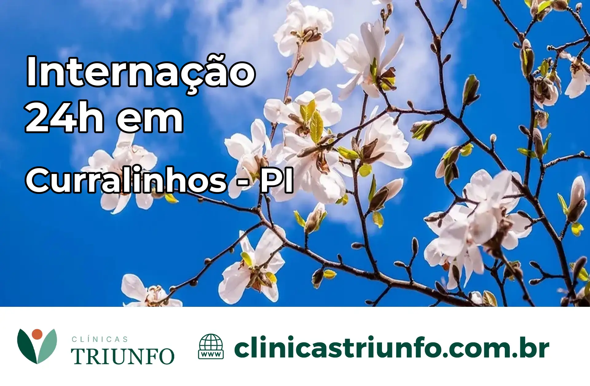 Internação 24 horas em Curralinhos – PI
