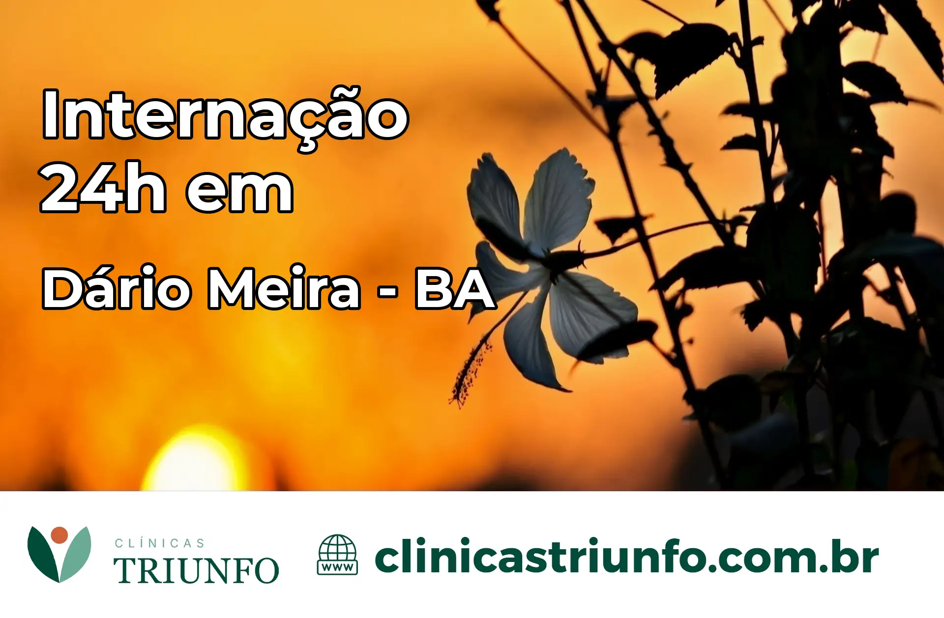 Internação 24 horas em Dário Meira – BA
