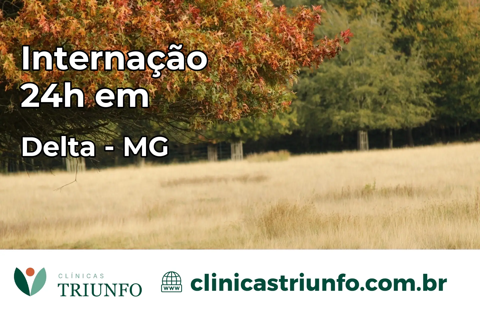 Internação 24 horas em Delta – MG