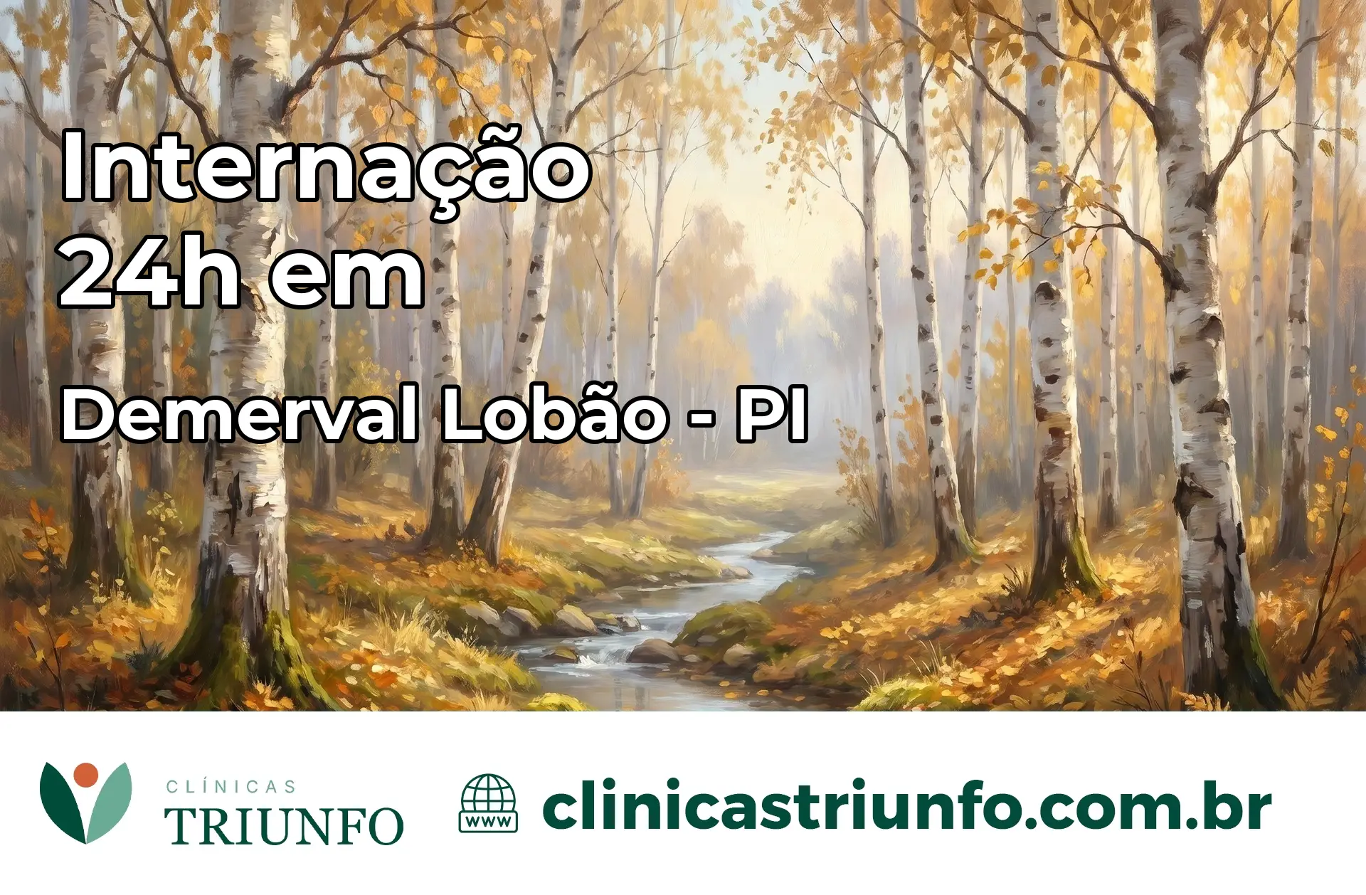 Internação 24 horas em Demerval Lobão – PI