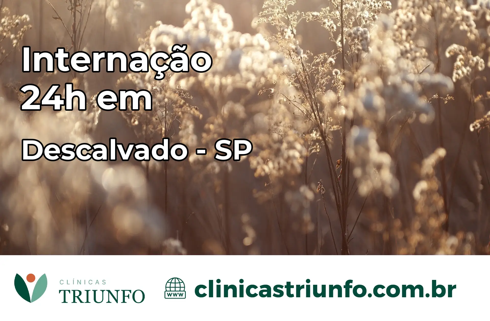 Internação 24 horas em Descalvado – SP