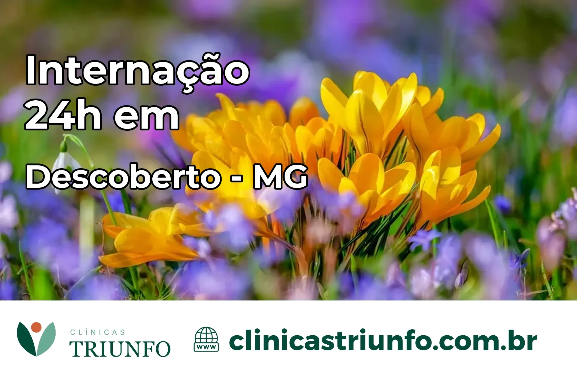 Internação 24 horas em Descoberto – MG
