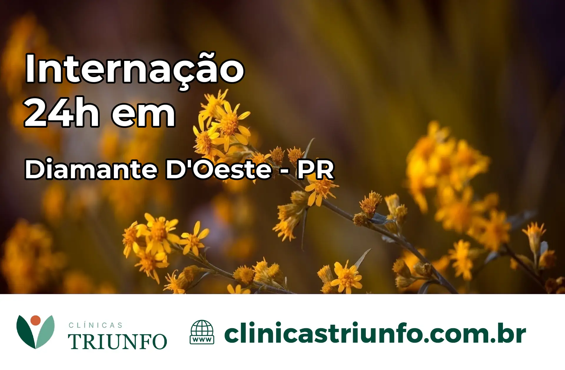 Internação 24 horas em Diamante D'Oeste – PR