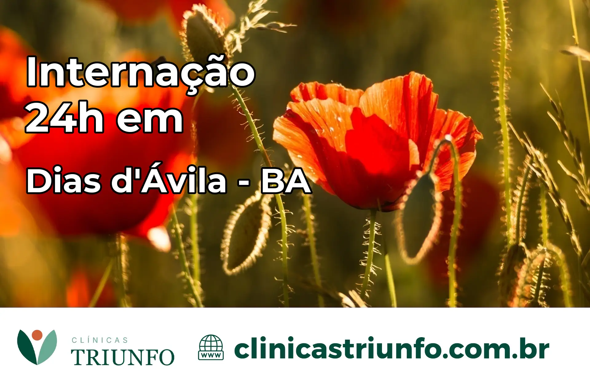 Internação 24 horas em Dias d'Ávila – BA