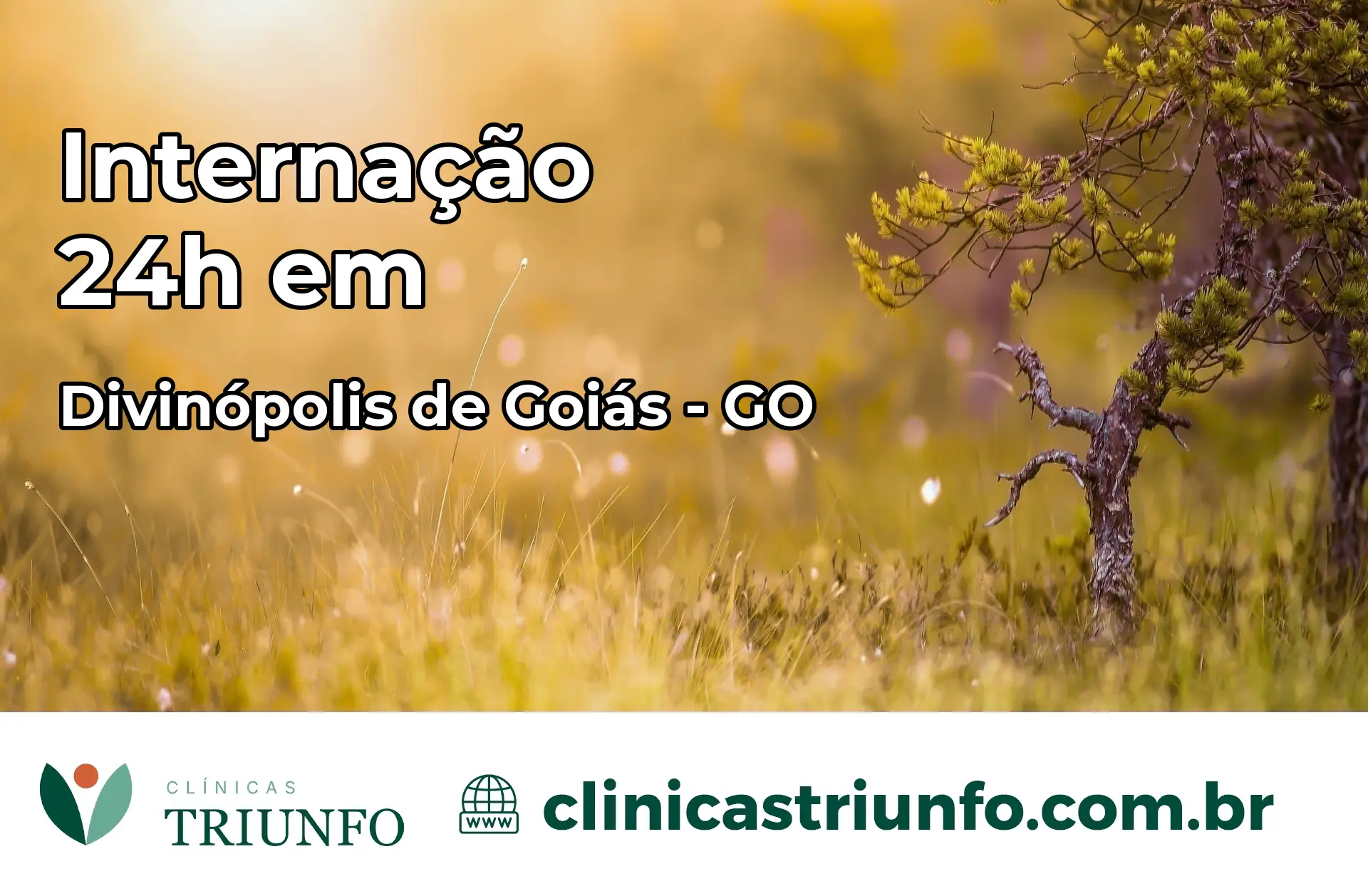 Internação 24 horas em Divinópolis de Goiás – GO