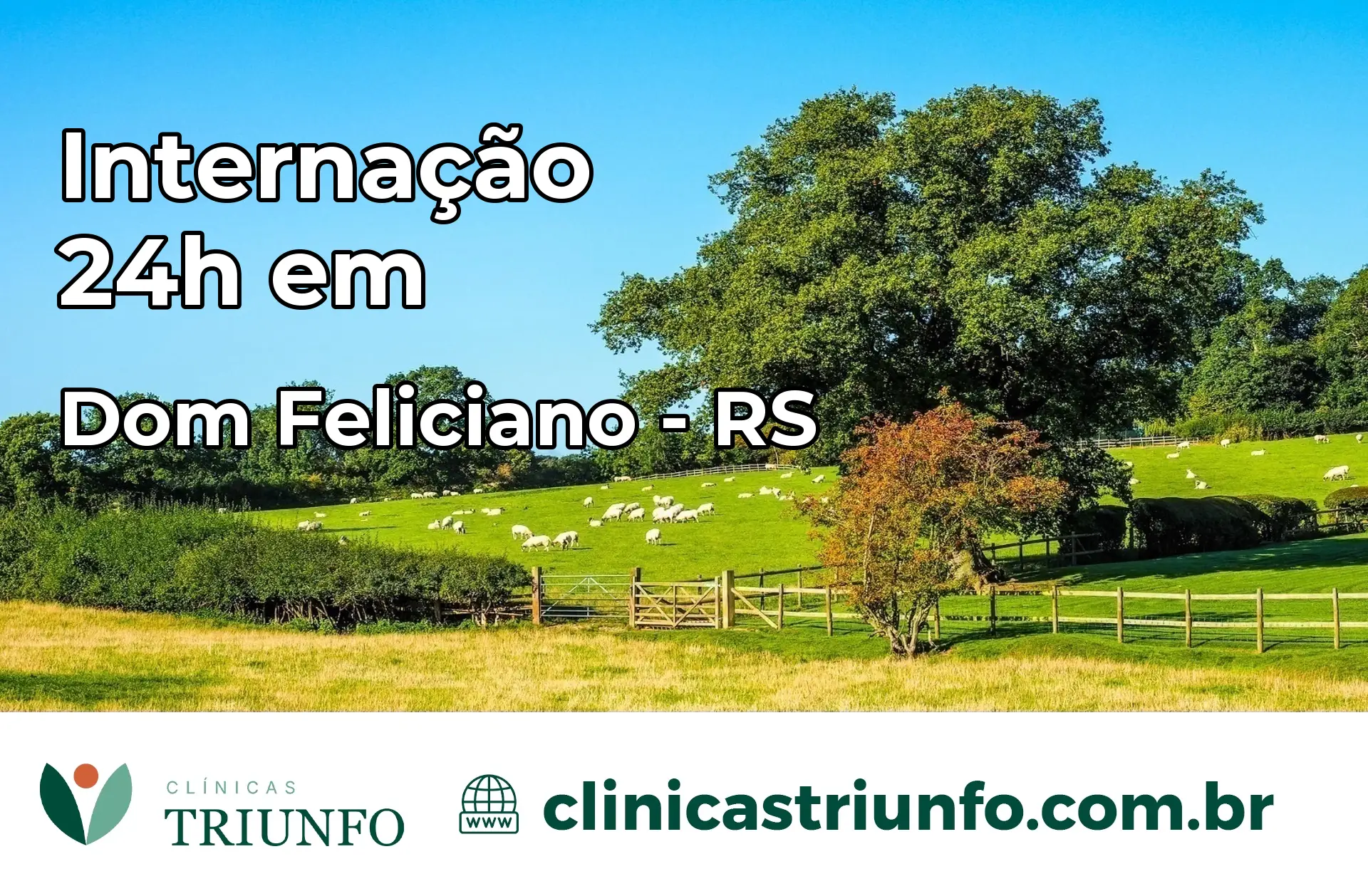 Internação 24 horas em Dom Feliciano – RS