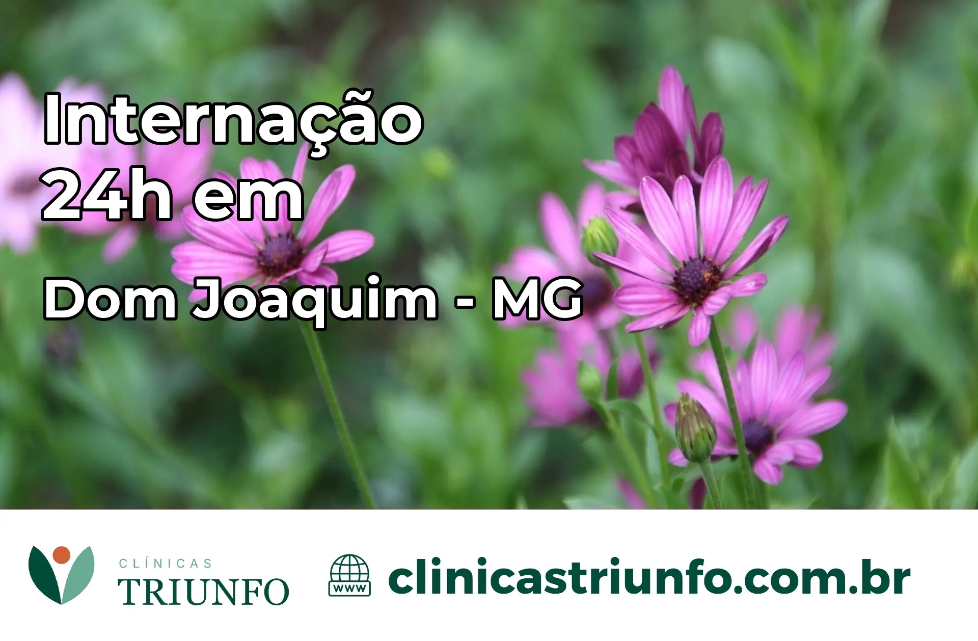 Internação 24 horas em Dom Joaquim – MG
