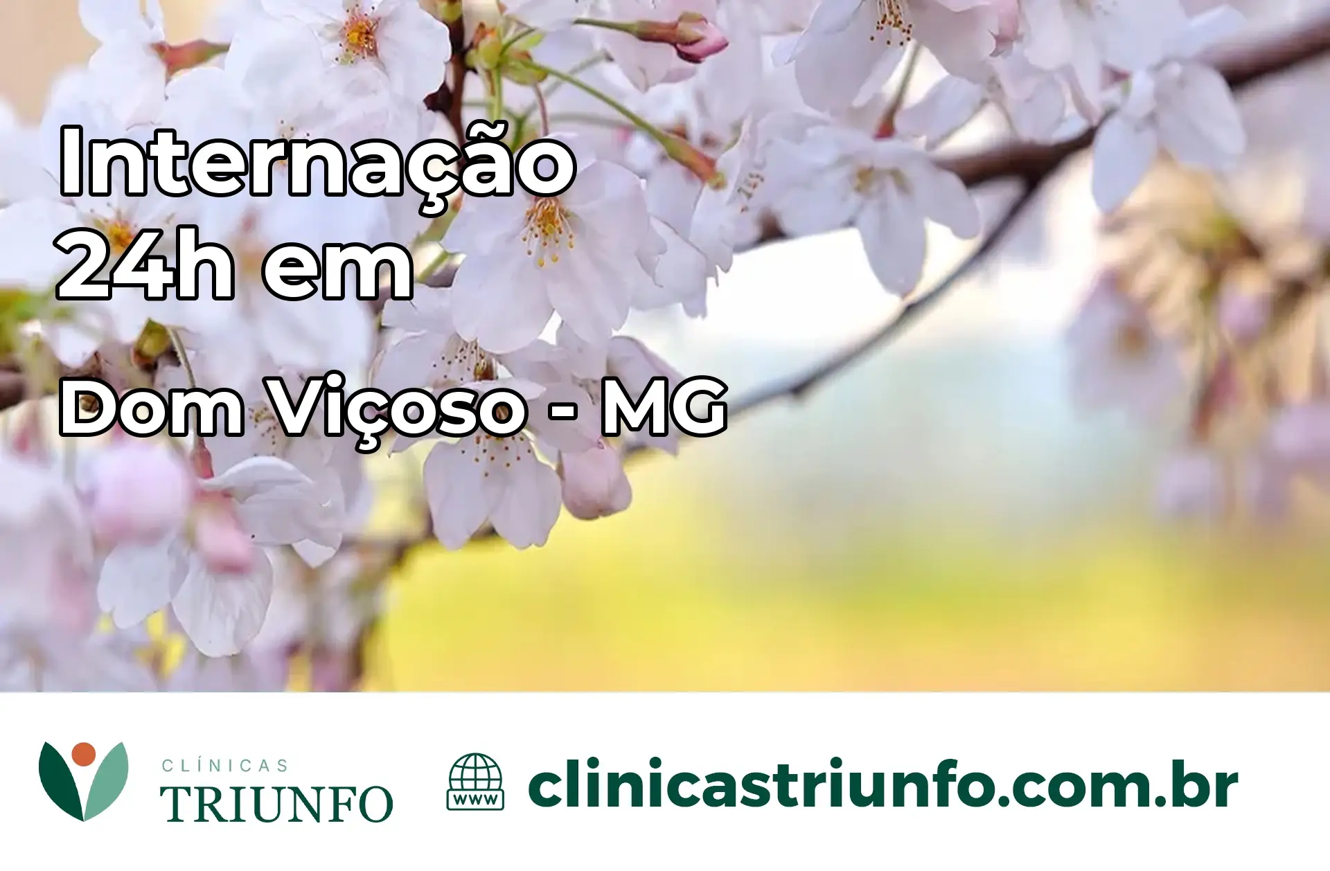 Internação 24 horas em Dom Viçoso – MG