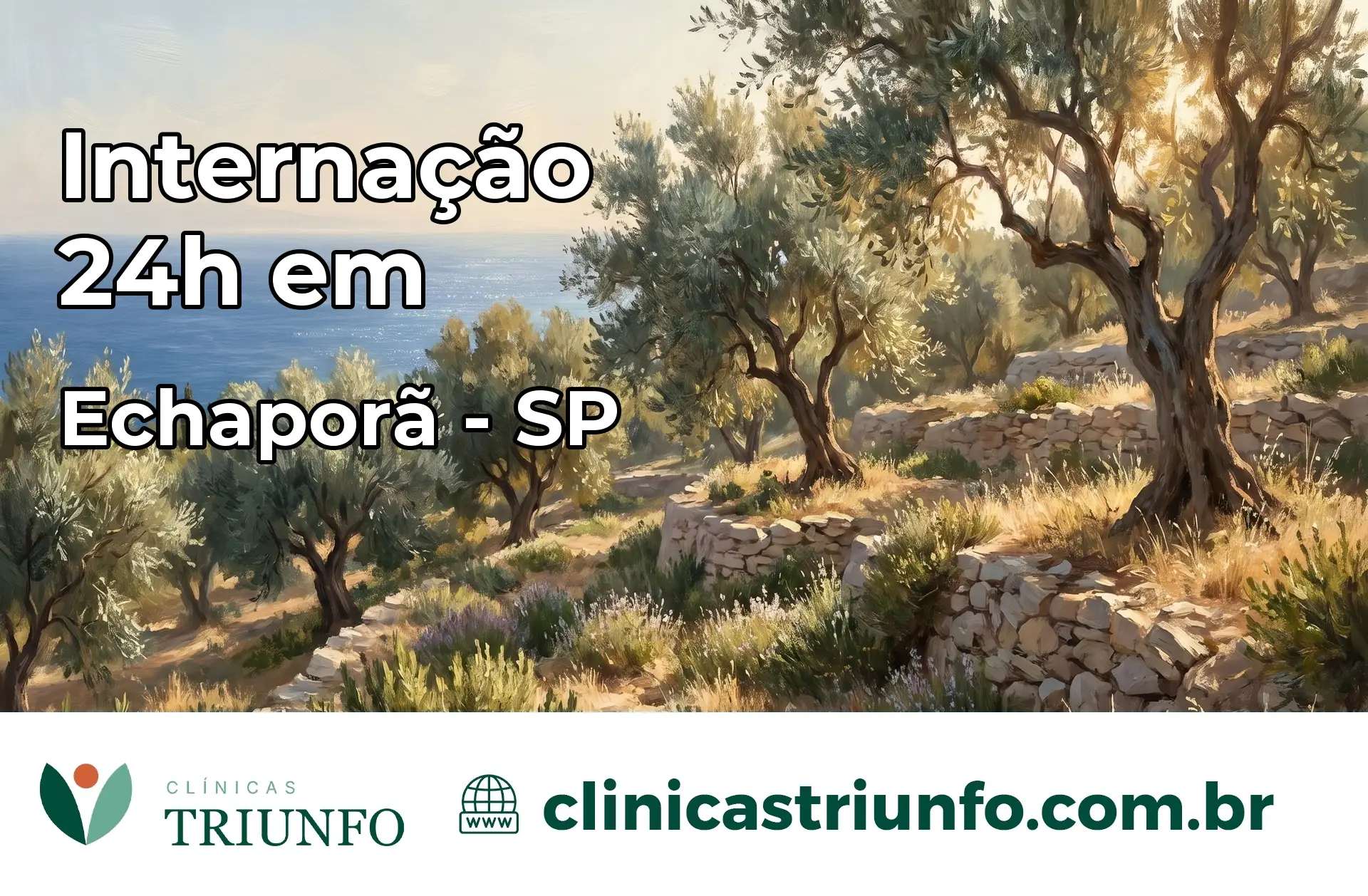 Internação 24 horas em Echaporã – SP