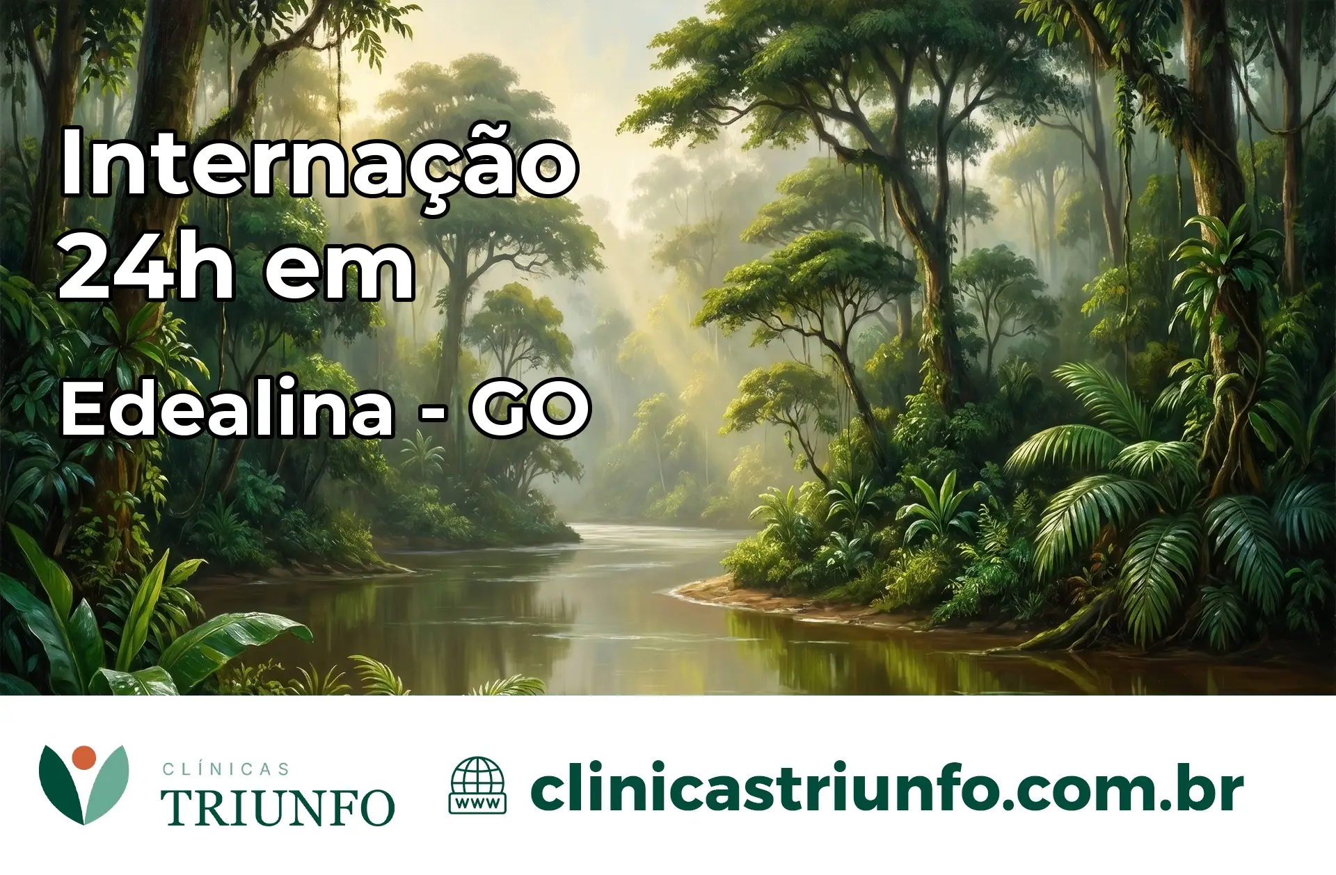 Internação 24 horas em Edealina – GO