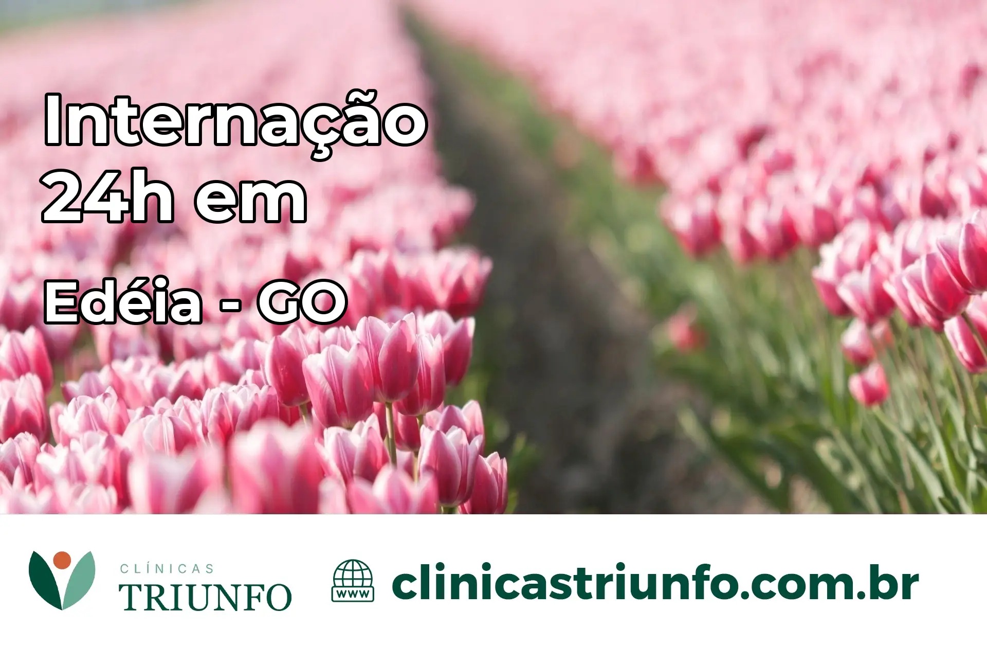 Internação 24 horas em Edéia – GO