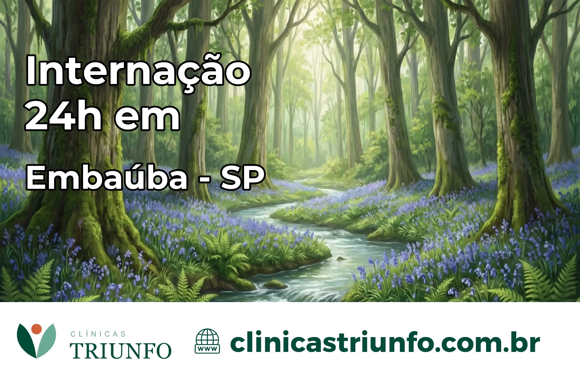 Internação 24 horas em Embaúba – SP