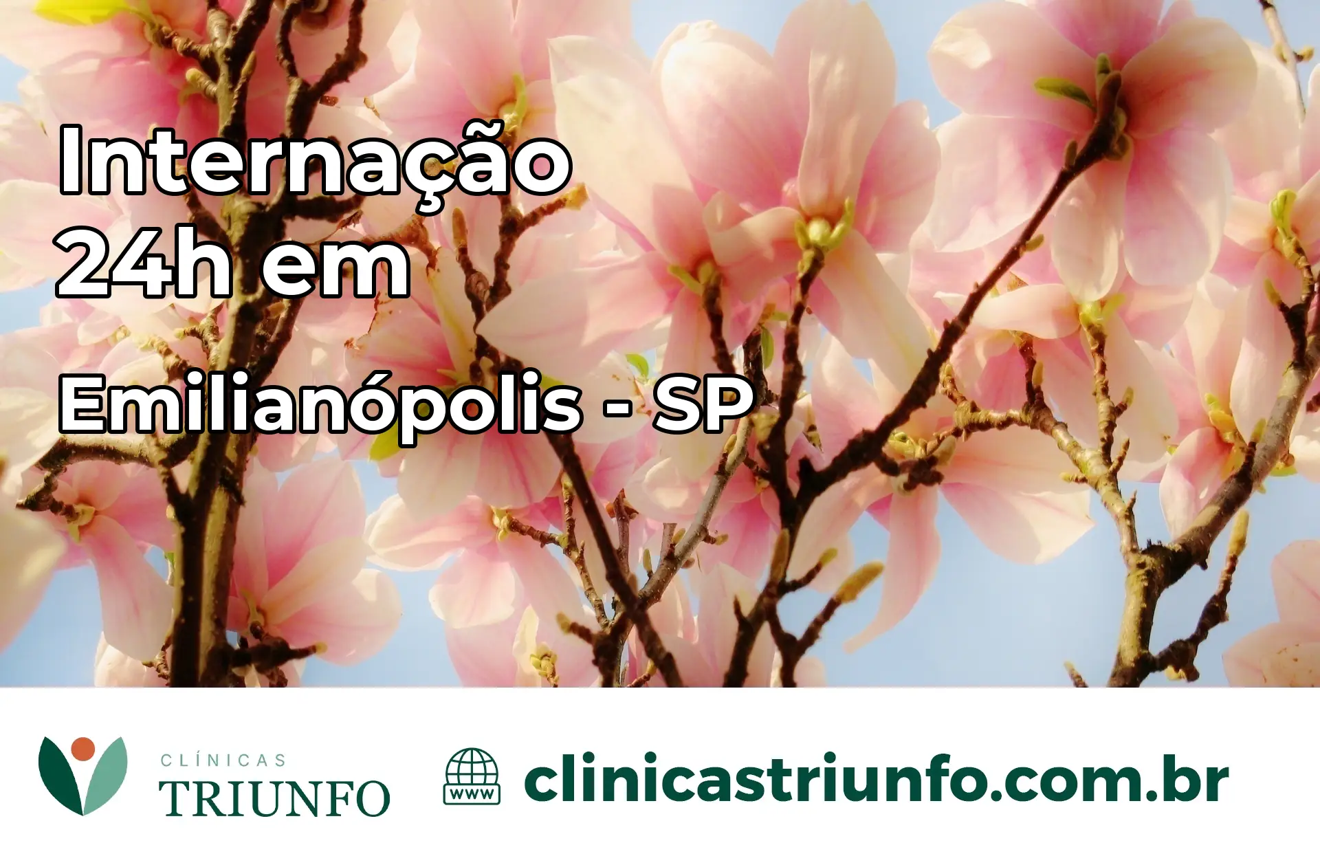 Internação 24 horas em Emilianópolis – SP