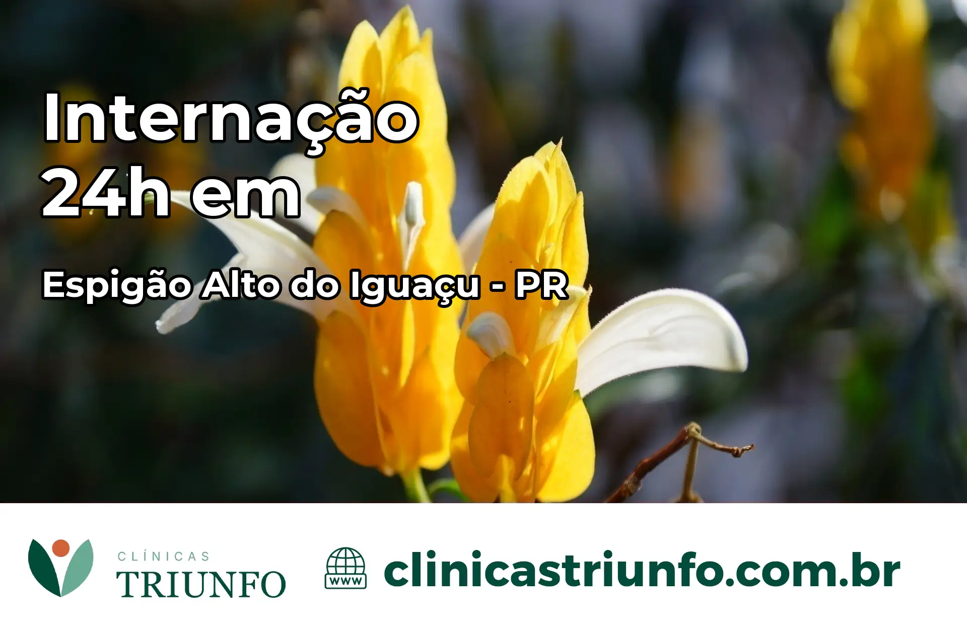 Internação 24 horas em Espigão Alto do Iguaçu – PR