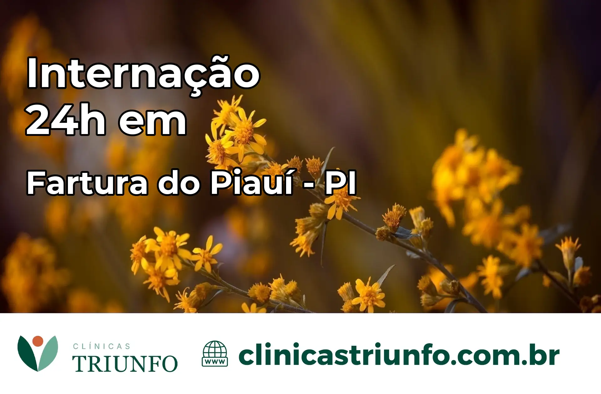 Internação 24 horas em Fartura do Piauí – PI