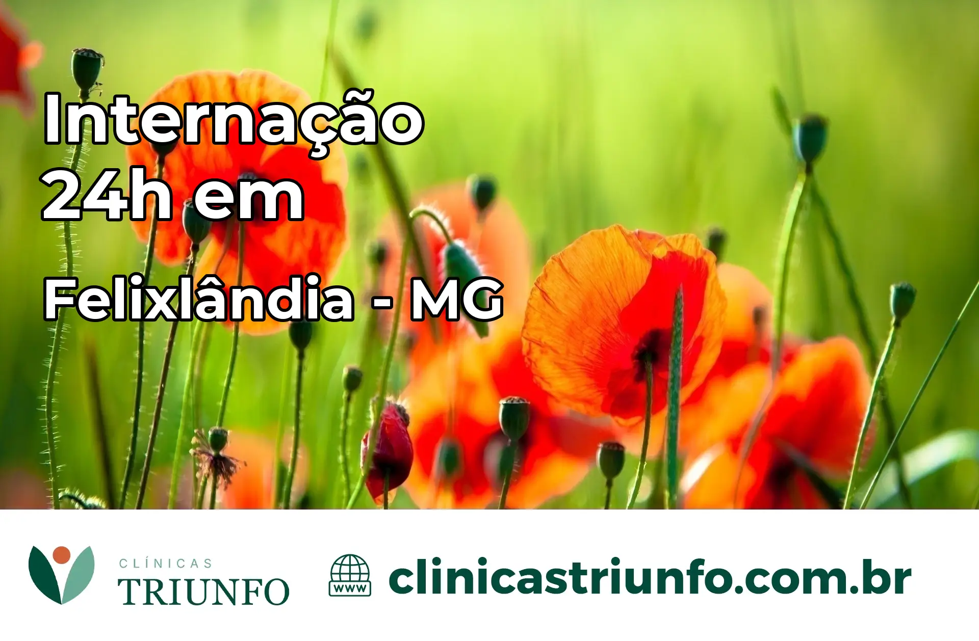 Internação 24 horas em Felixlândia – MG