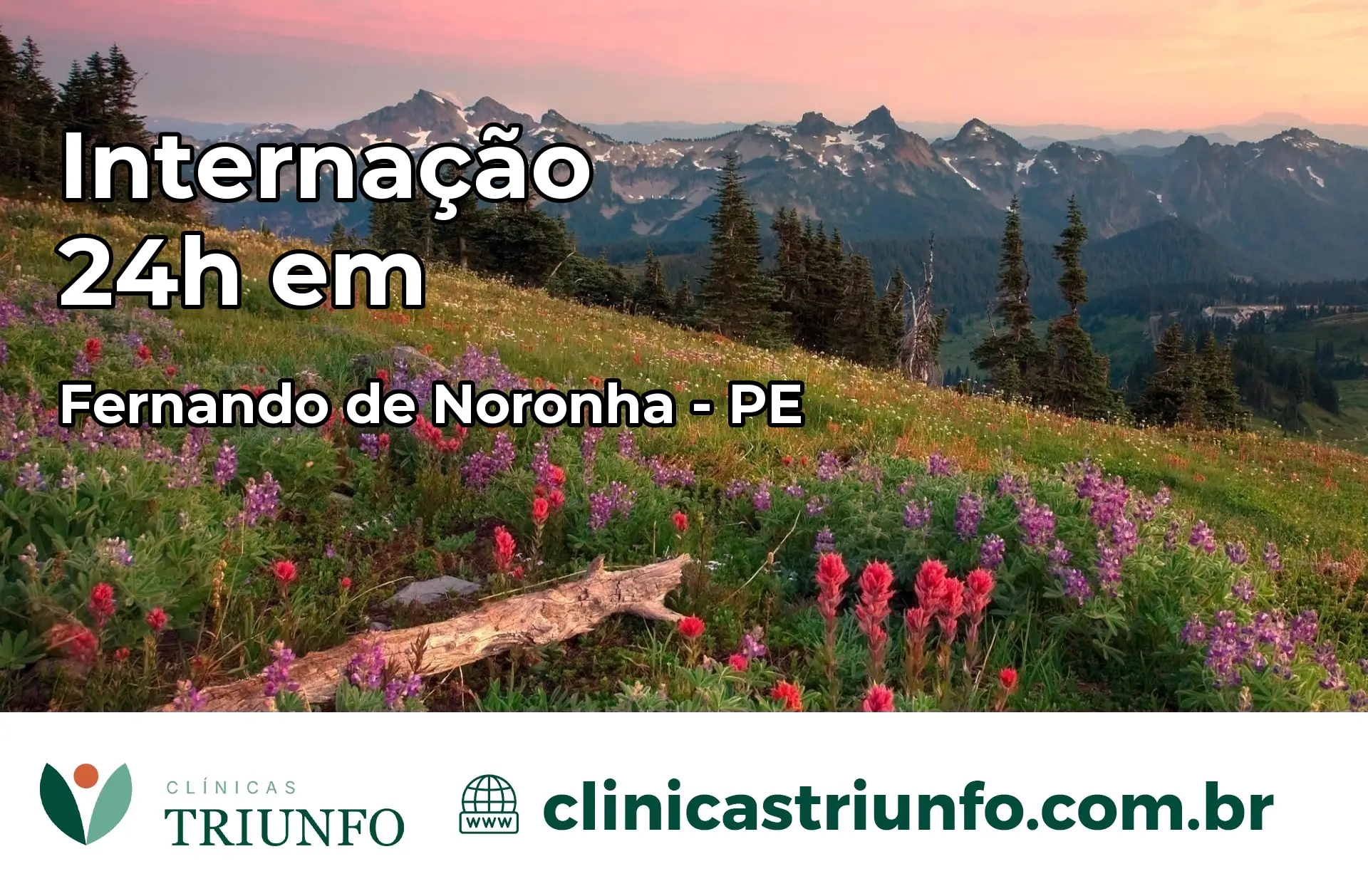 Internação 24 horas em Fernando de Noronha – PE