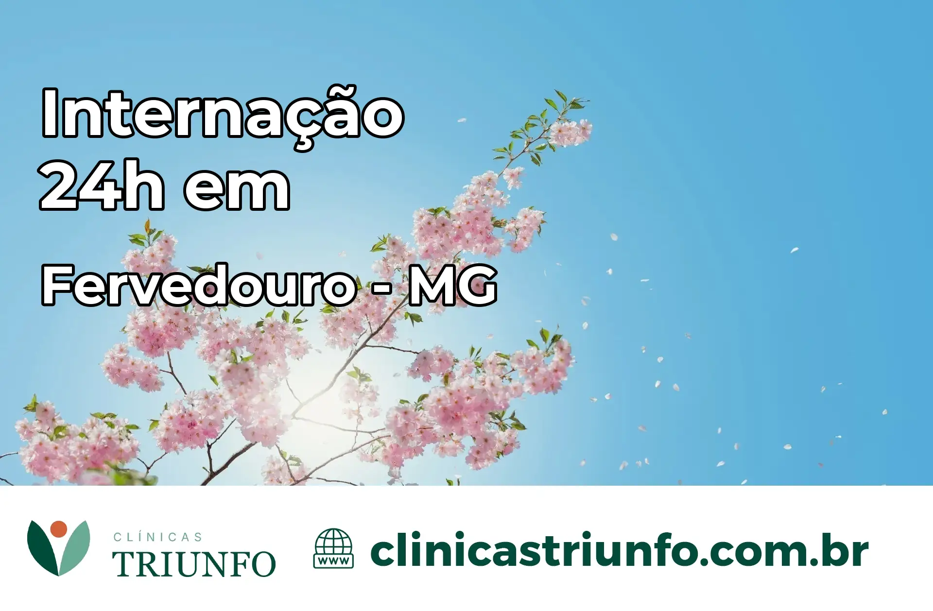 Internação 24 horas em Fervedouro – MG
