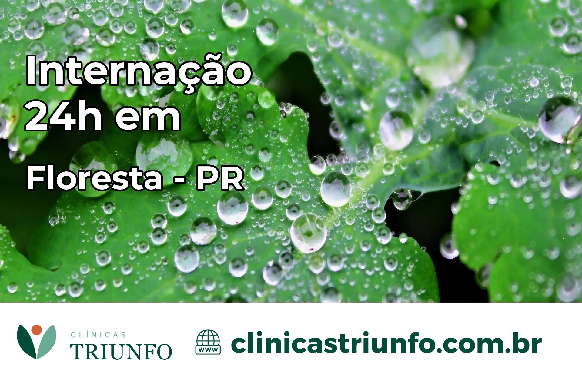 Internação 24 horas em Floresta – PR