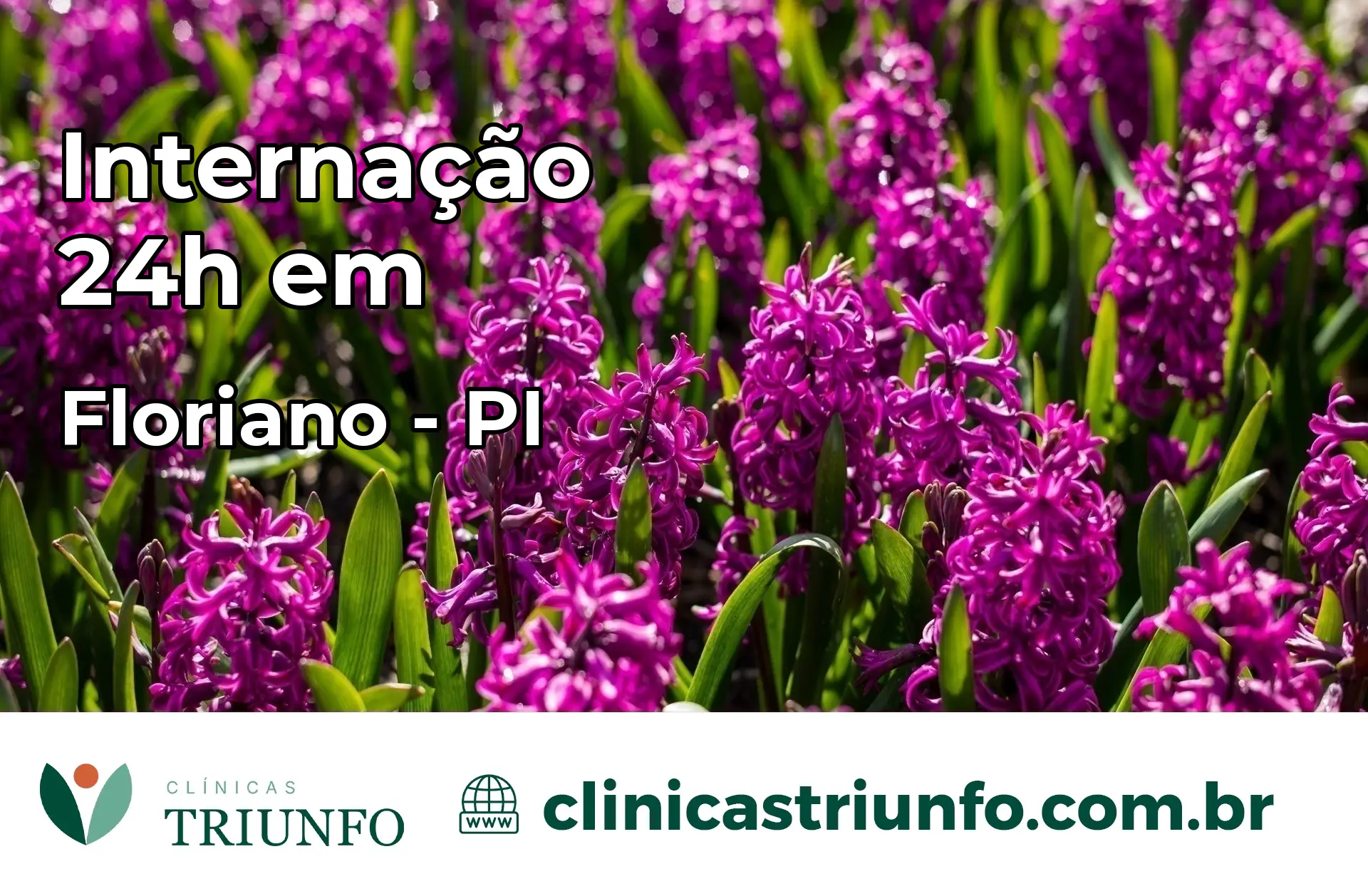 Internação 24 horas em Floriano – PI