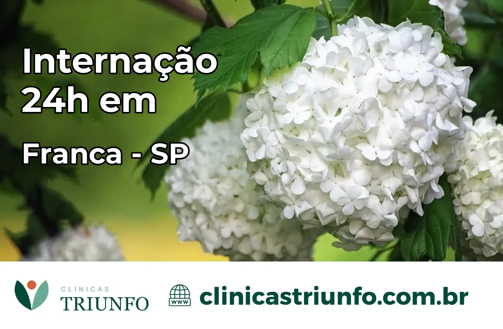 Internação 24 horas em Franca – SP