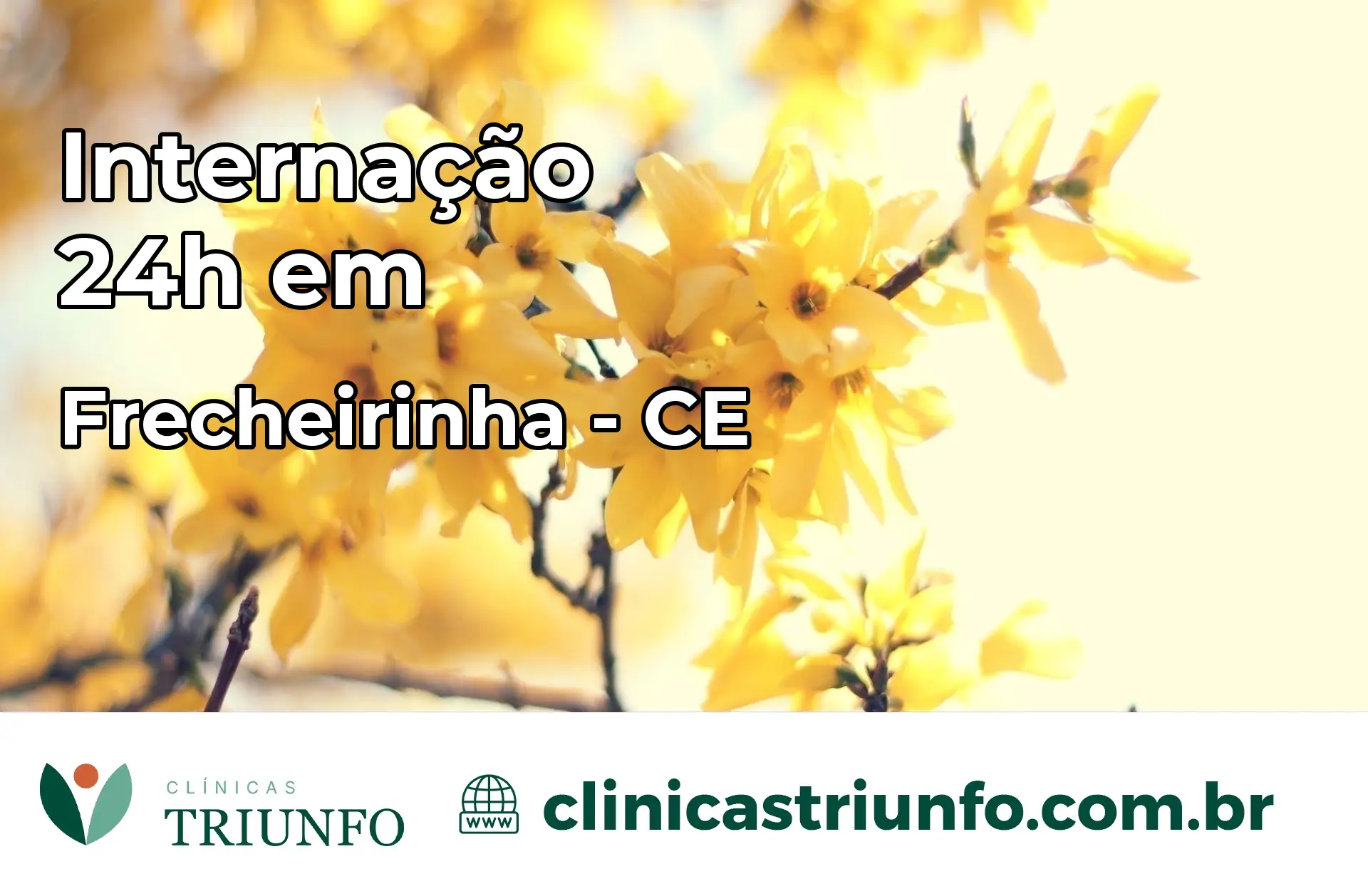 Internação 24 horas em Frecheirinha – CE
