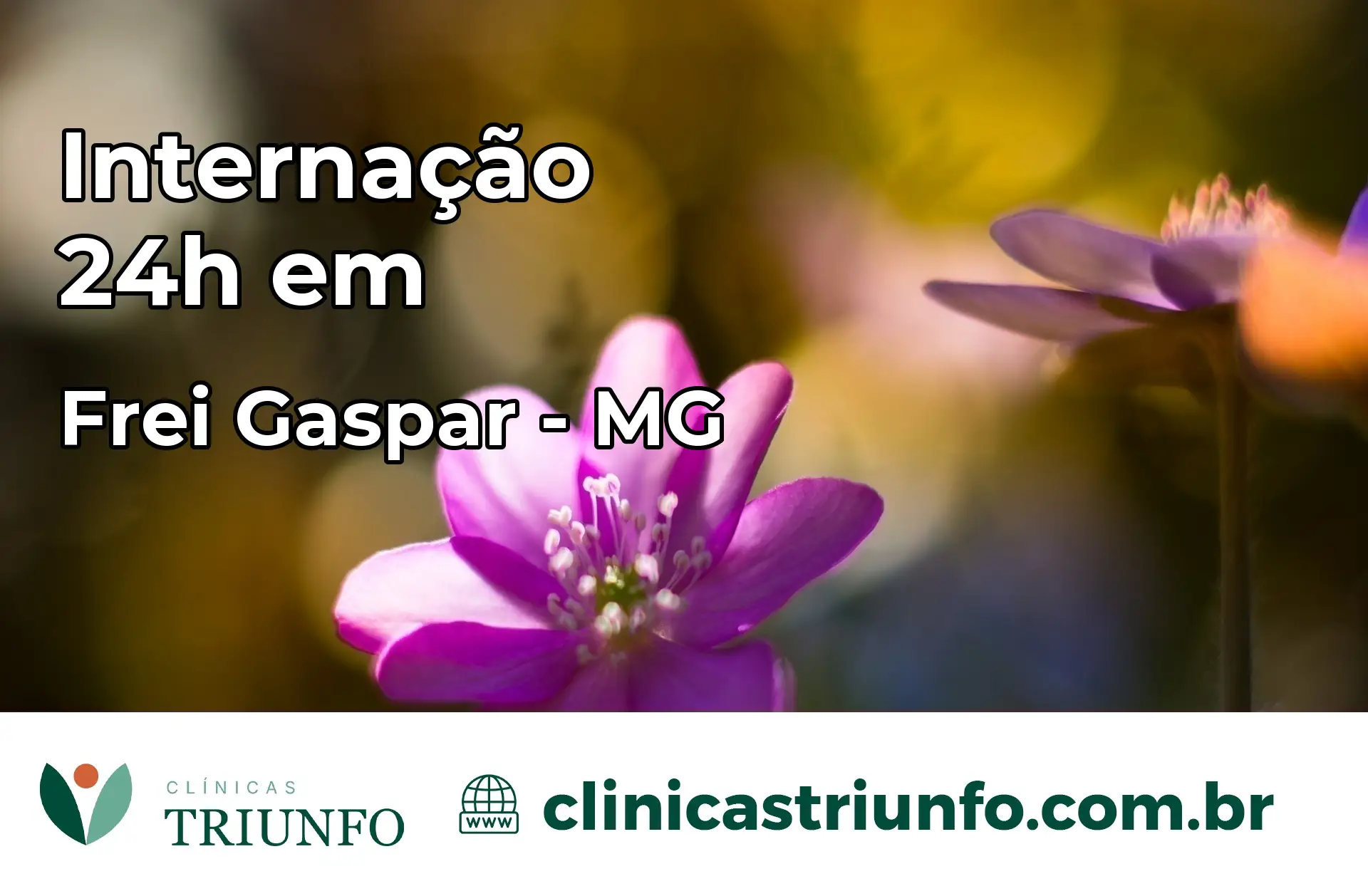 Internação 24 horas em Frei Gaspar – MG
