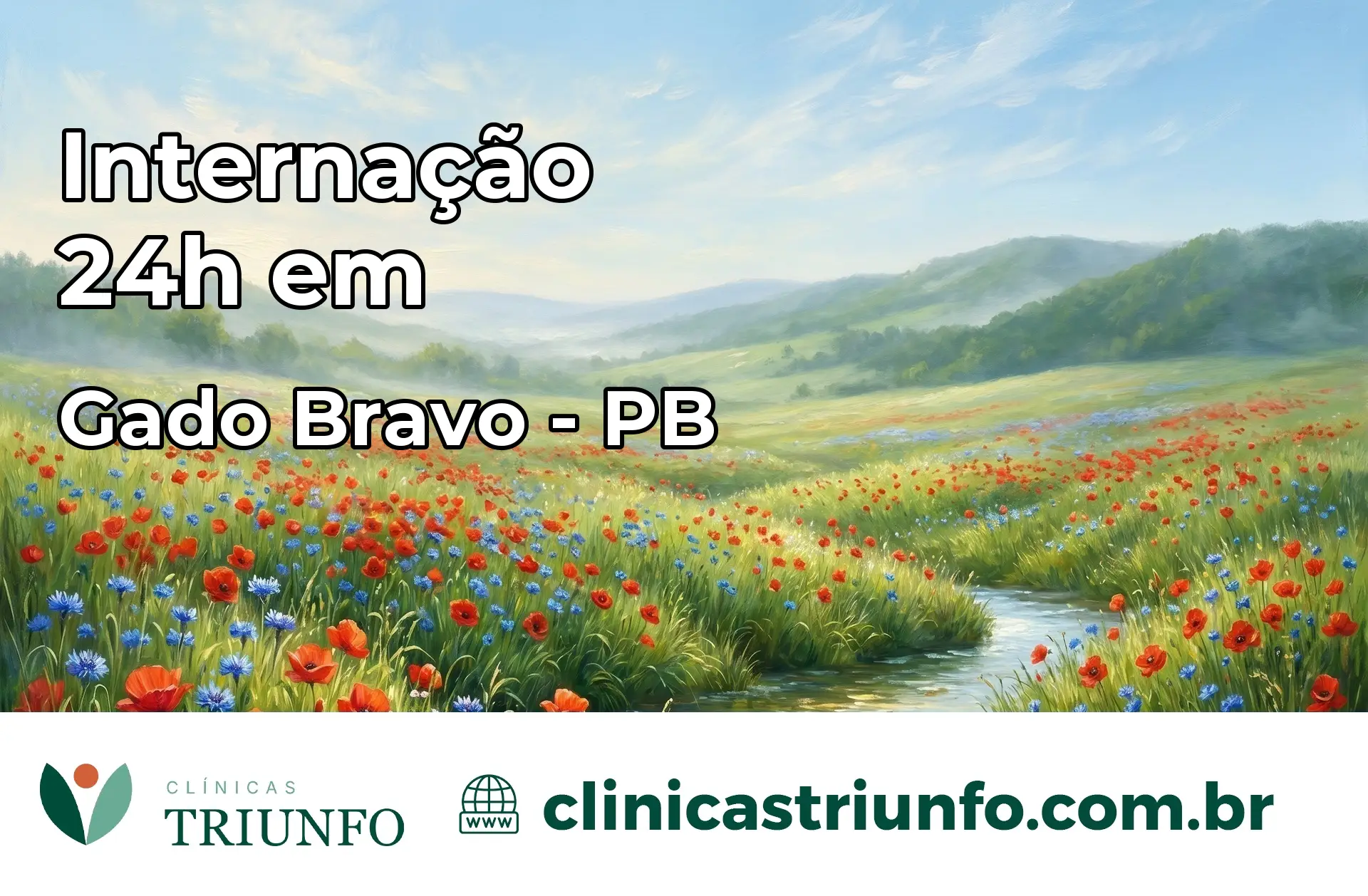 Internação 24 horas em Gado Bravo – PB