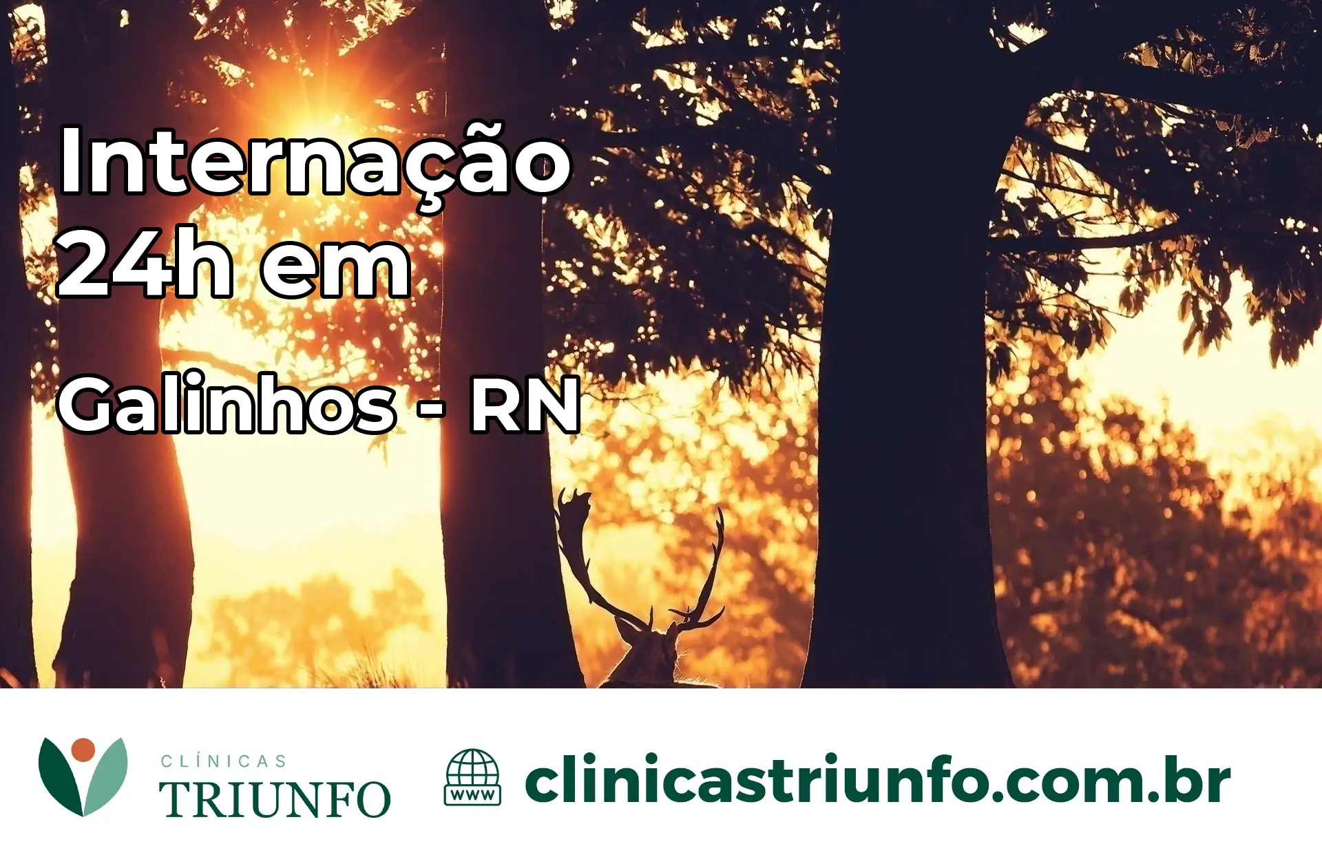 Internação 24 horas em Galinhos – RN