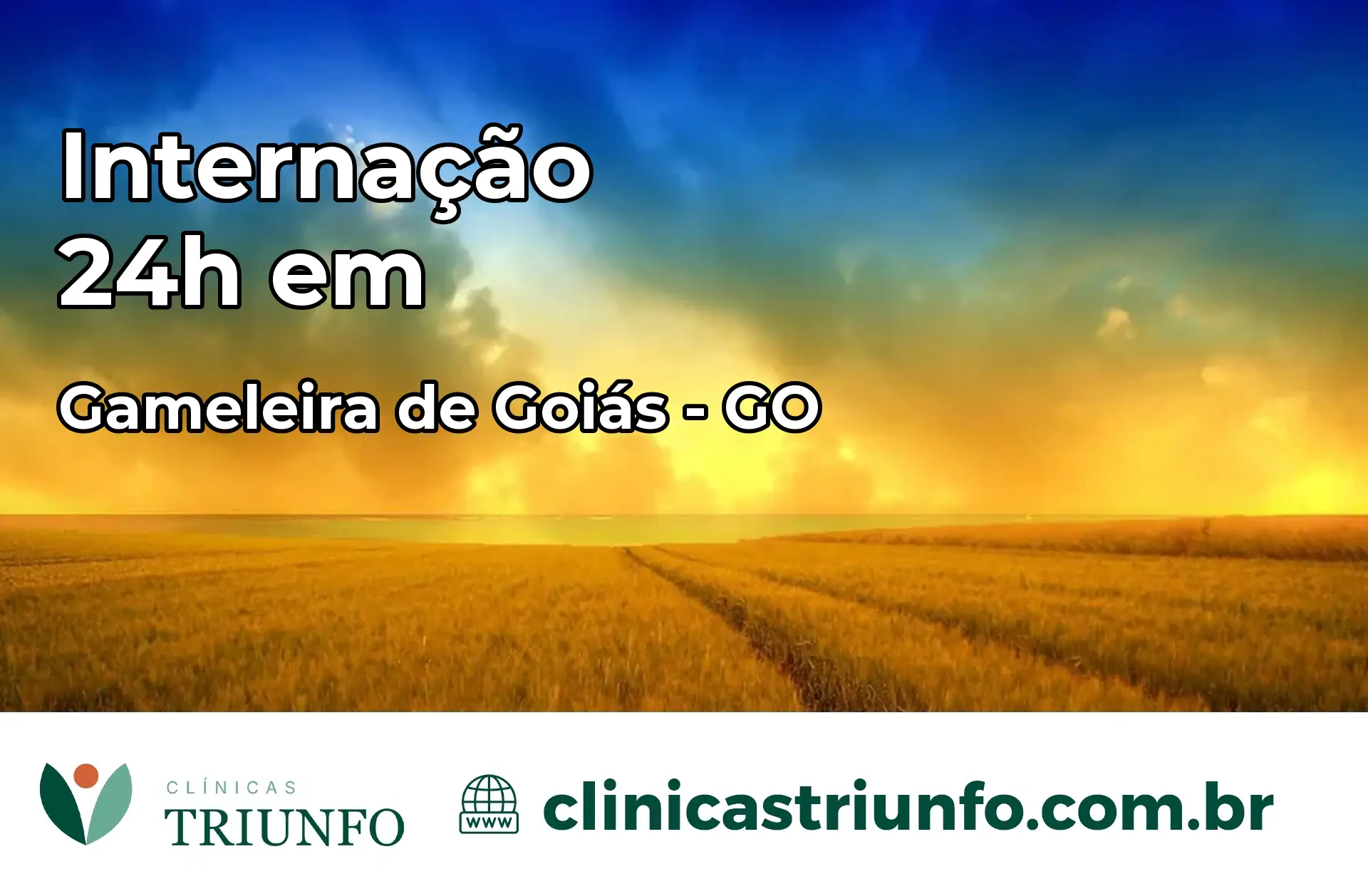 Internação 24 horas em Gameleira de Goiás – GO