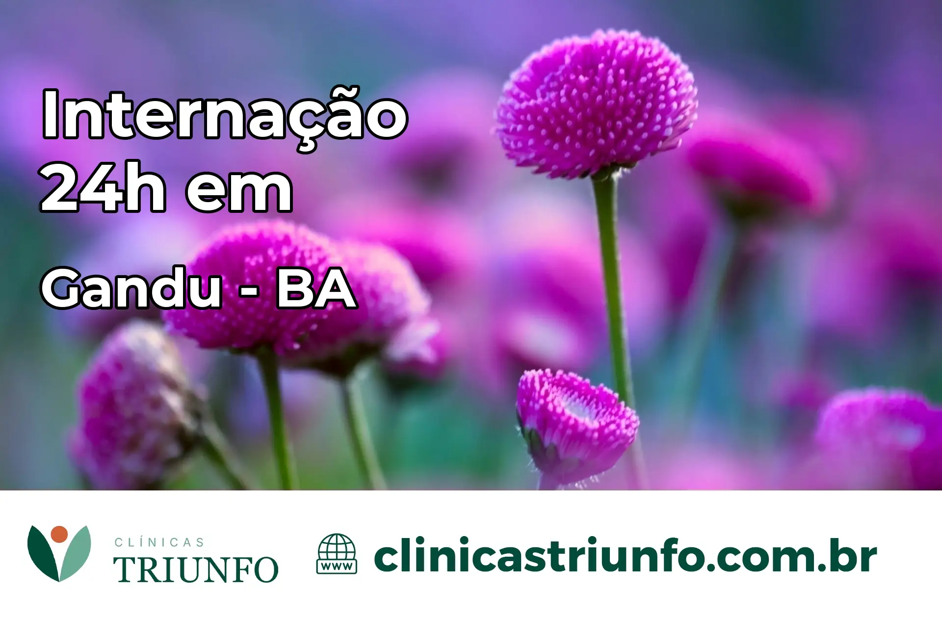 Internação 24 horas em Gandu – BA