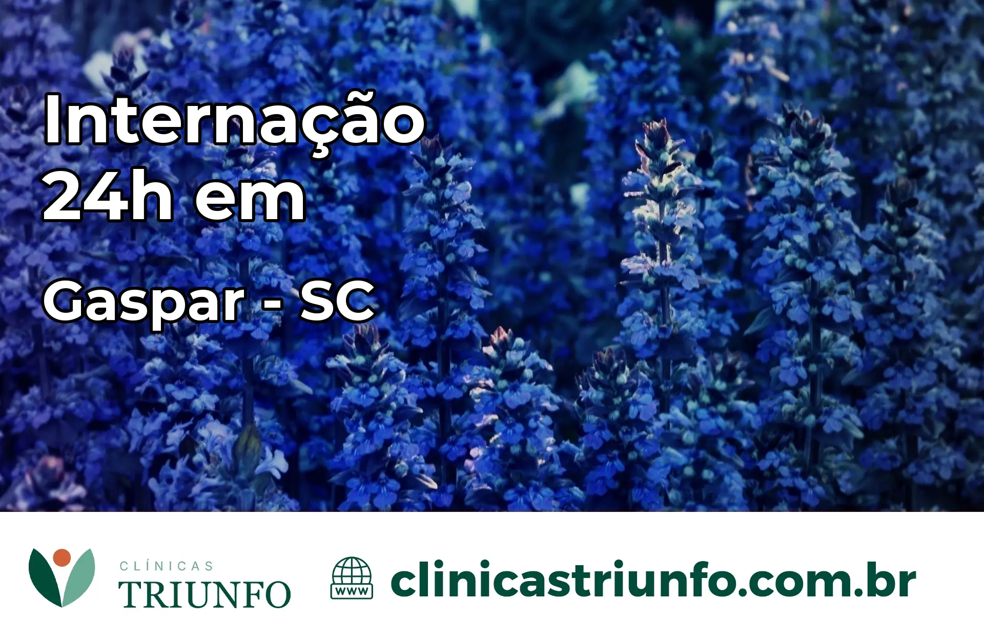 Internação 24 horas em Gaspar – SC