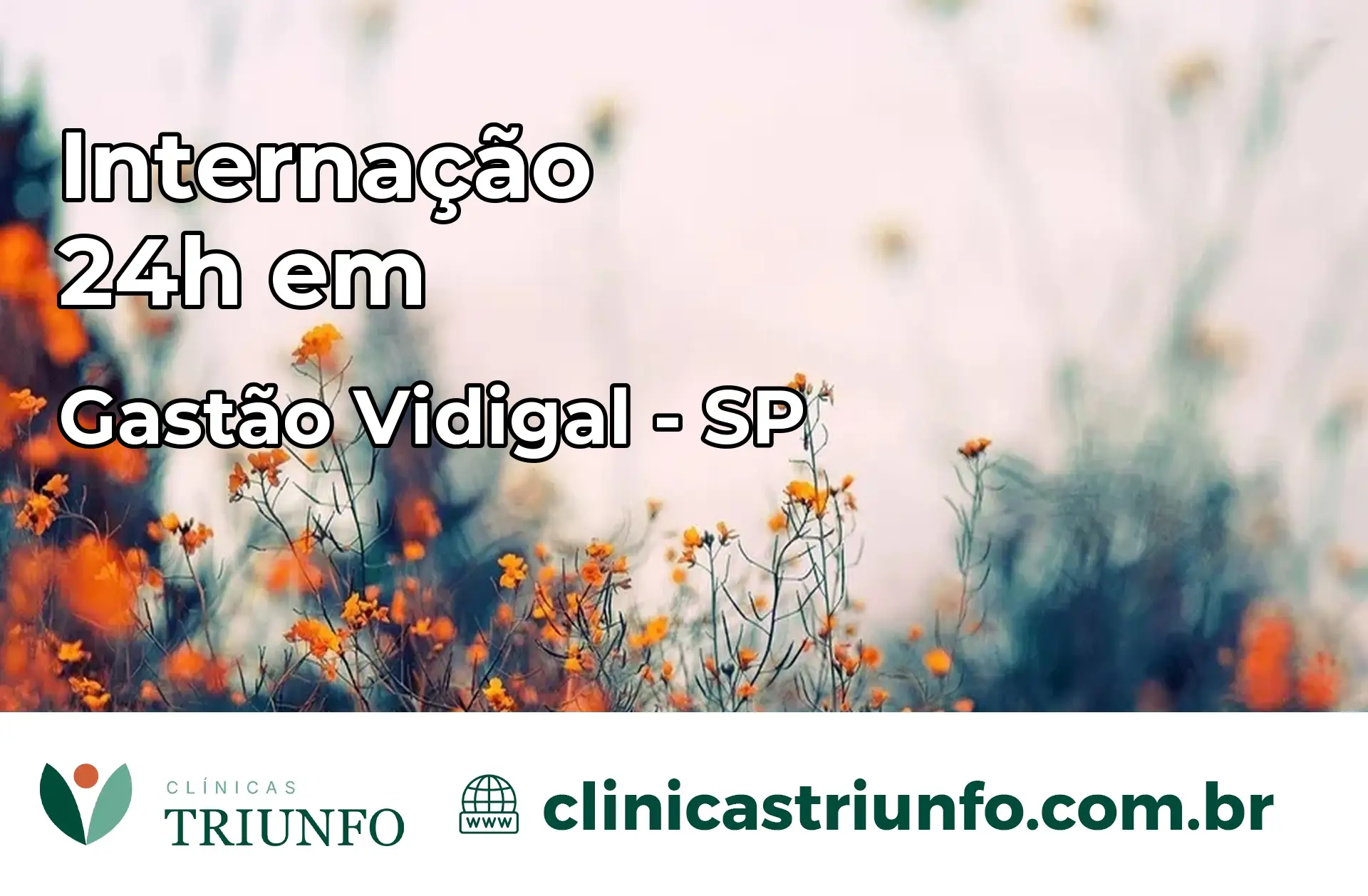 Internação 24 horas em Gastão Vidigal – SP