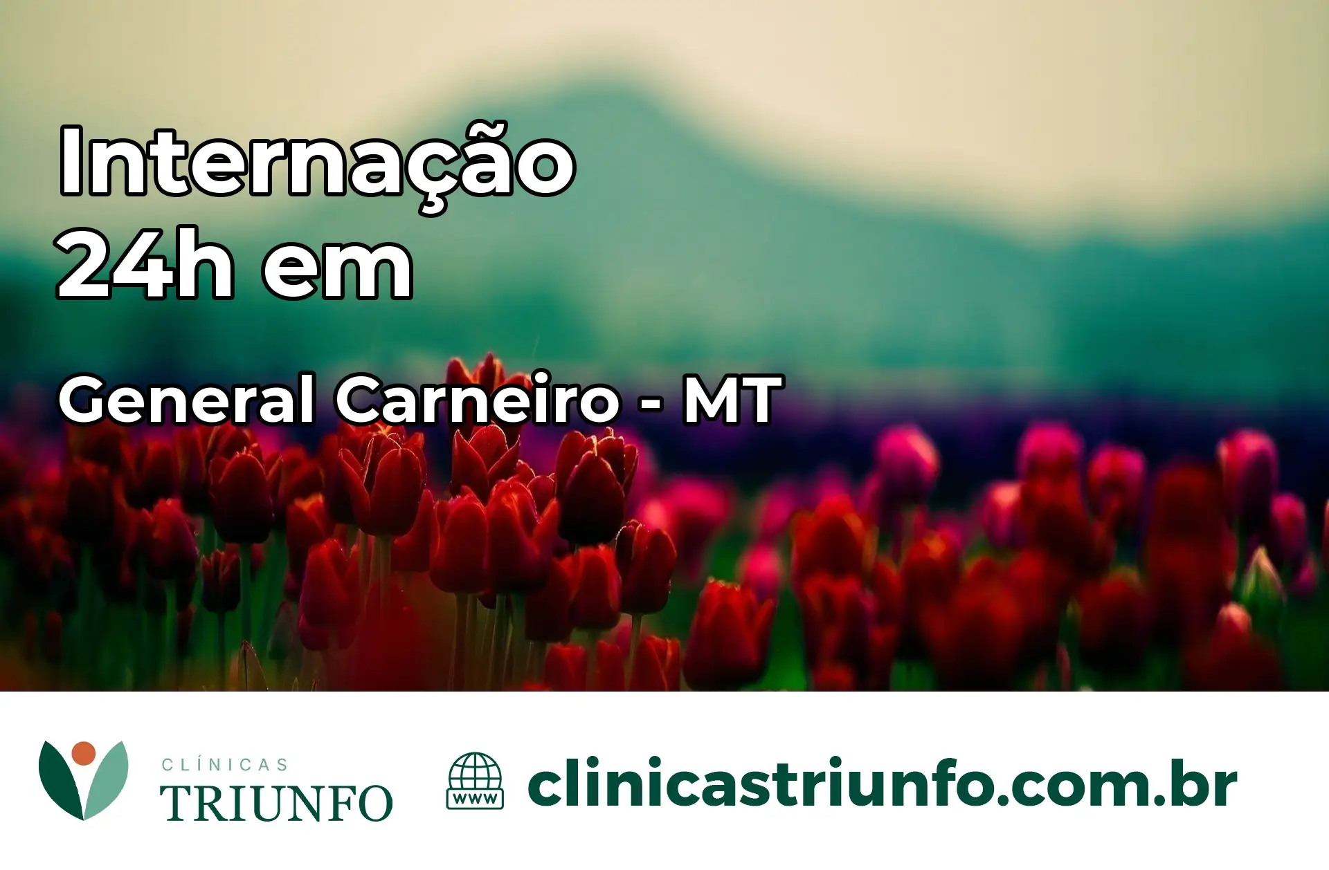 Internação 24 horas em General Carneiro – MT