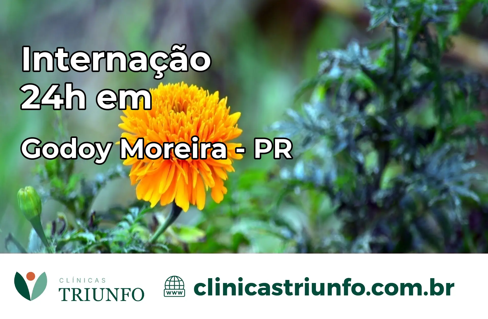 Internação 24 horas em Godoy Moreira – PR