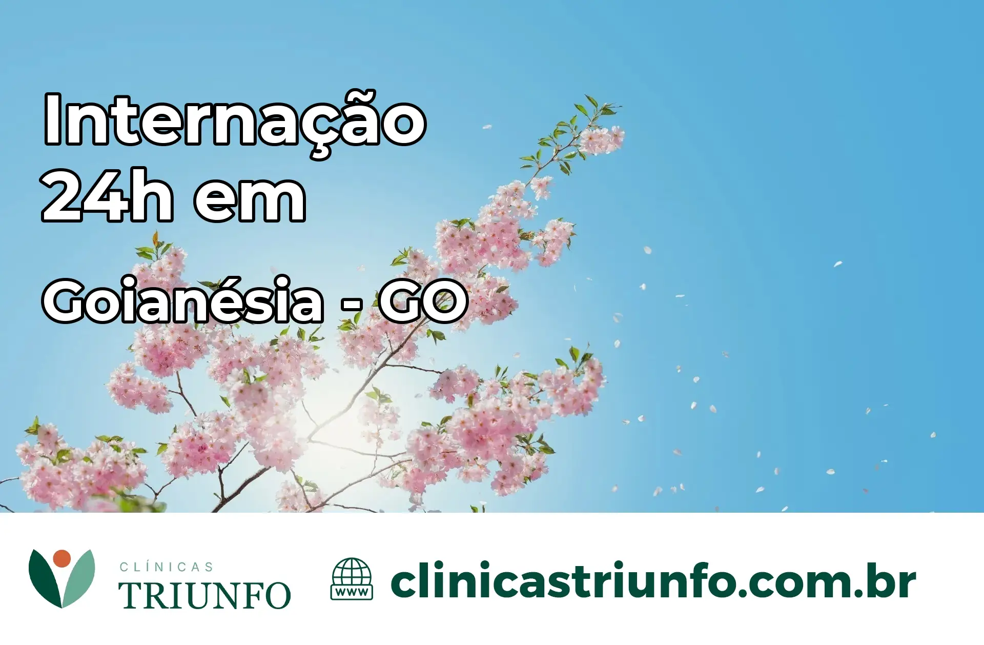 Internação 24 horas em Goianésia – GO