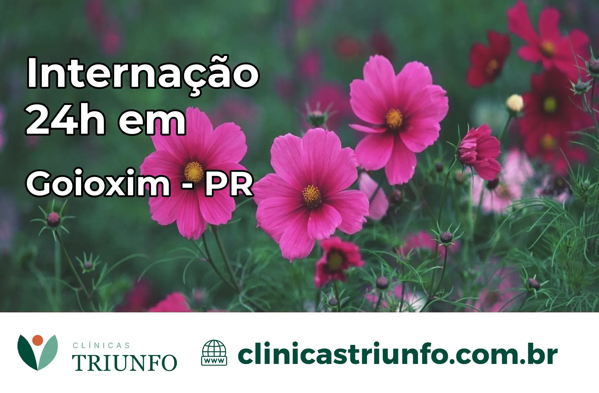 Internação 24 horas em Goioxim – PR