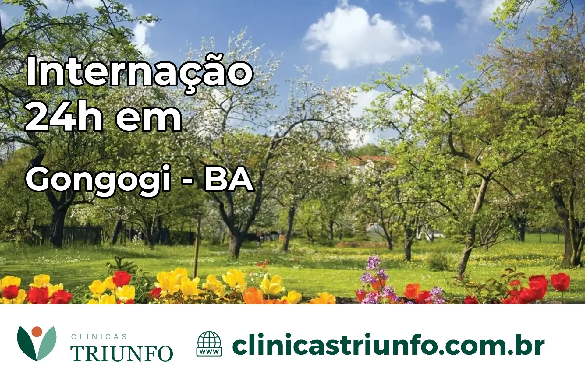 Internação 24 horas em Gongogi – BA