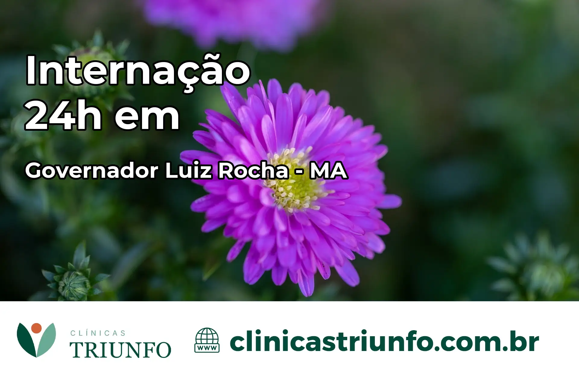 Internação 24 horas em Governador Luiz Rocha – MA