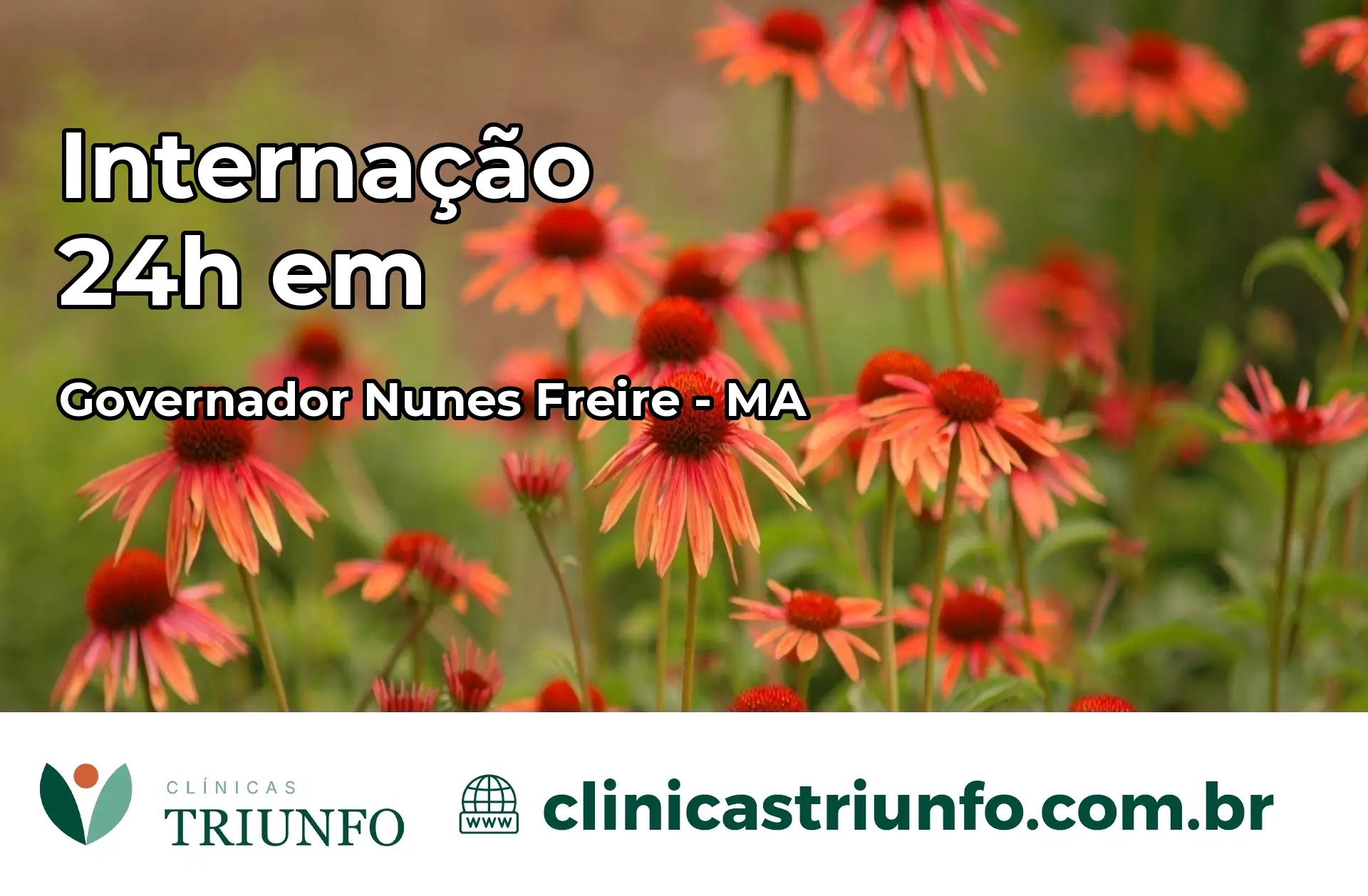 Internação 24 horas em Governador Nunes Freire – MA